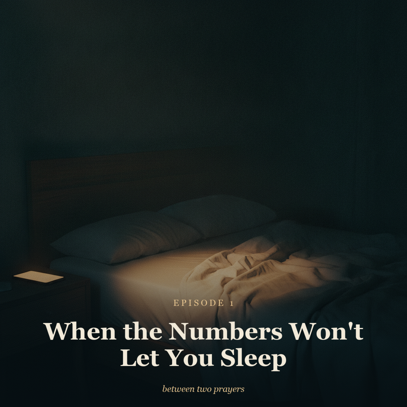 When the Numbers Won't Let You Sleep episode artwork