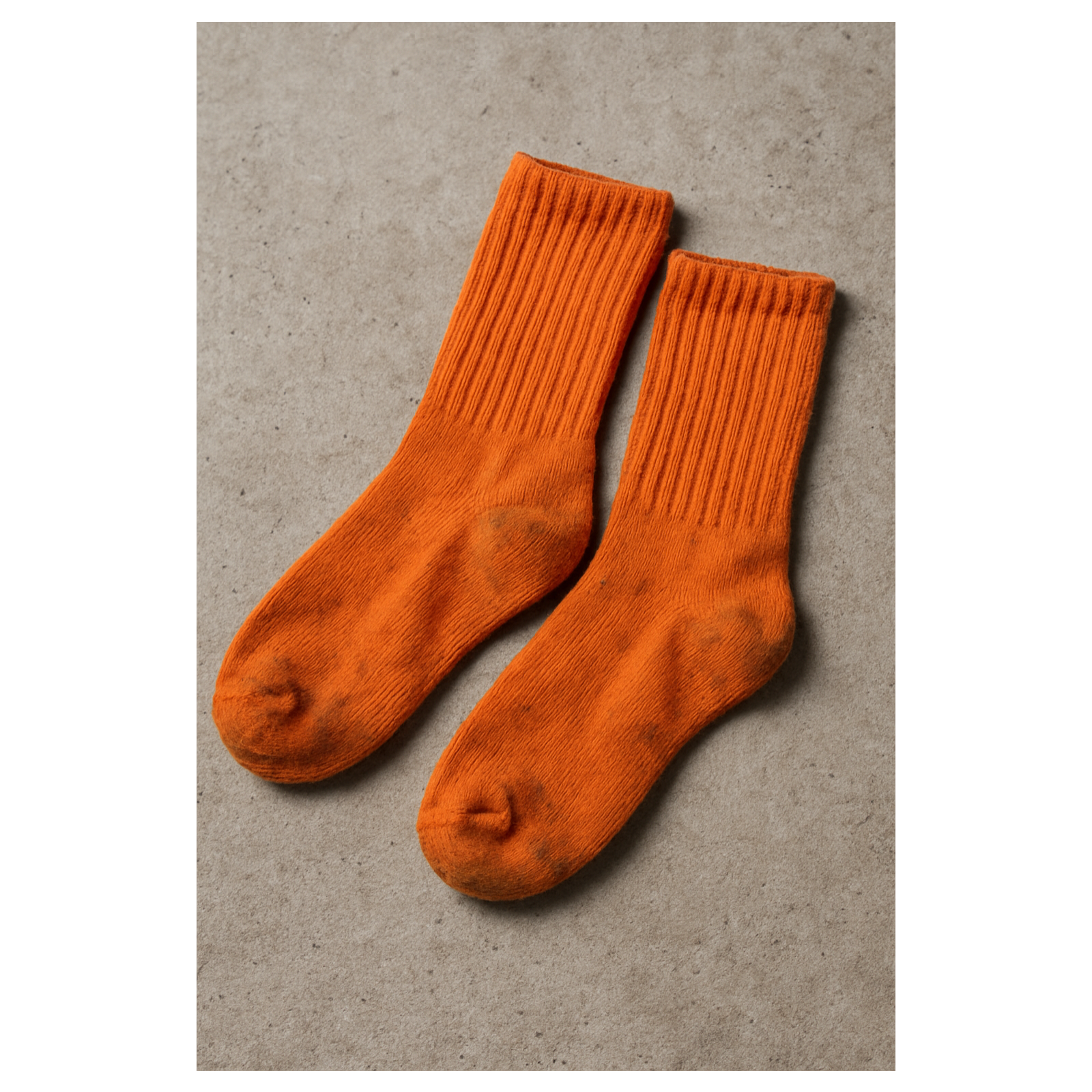 Beyond the Silence: Whispers Across America