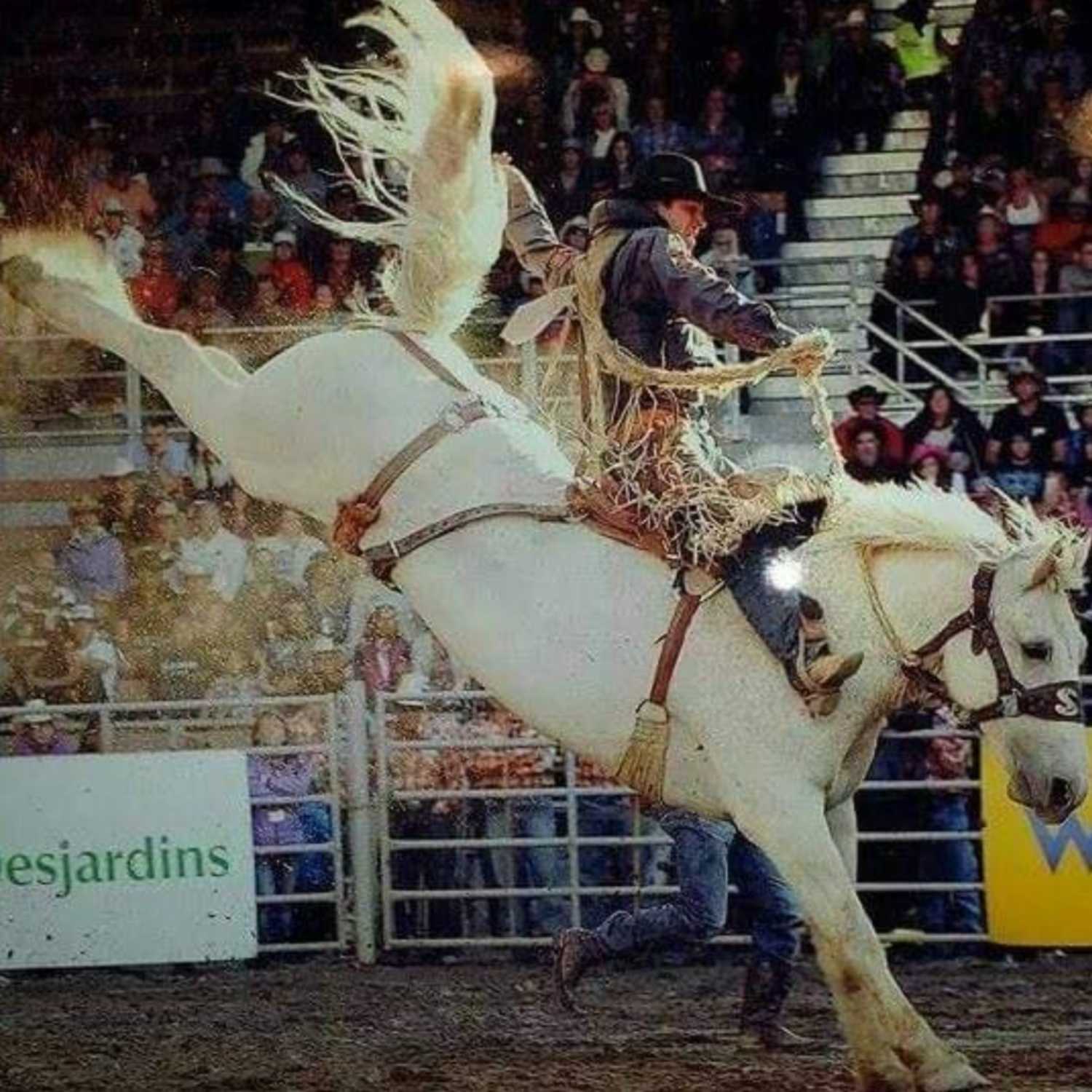 Shawn Minor – 23 Time IPRA World Champion – Part 1: You’re Only As Good As Your Competition episode artwork