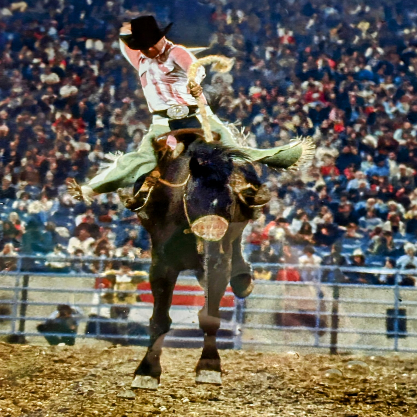 #73 Interview with Ed Prozer - 13 time American Professional Rodeo Champion – Just Go At It episode artwork