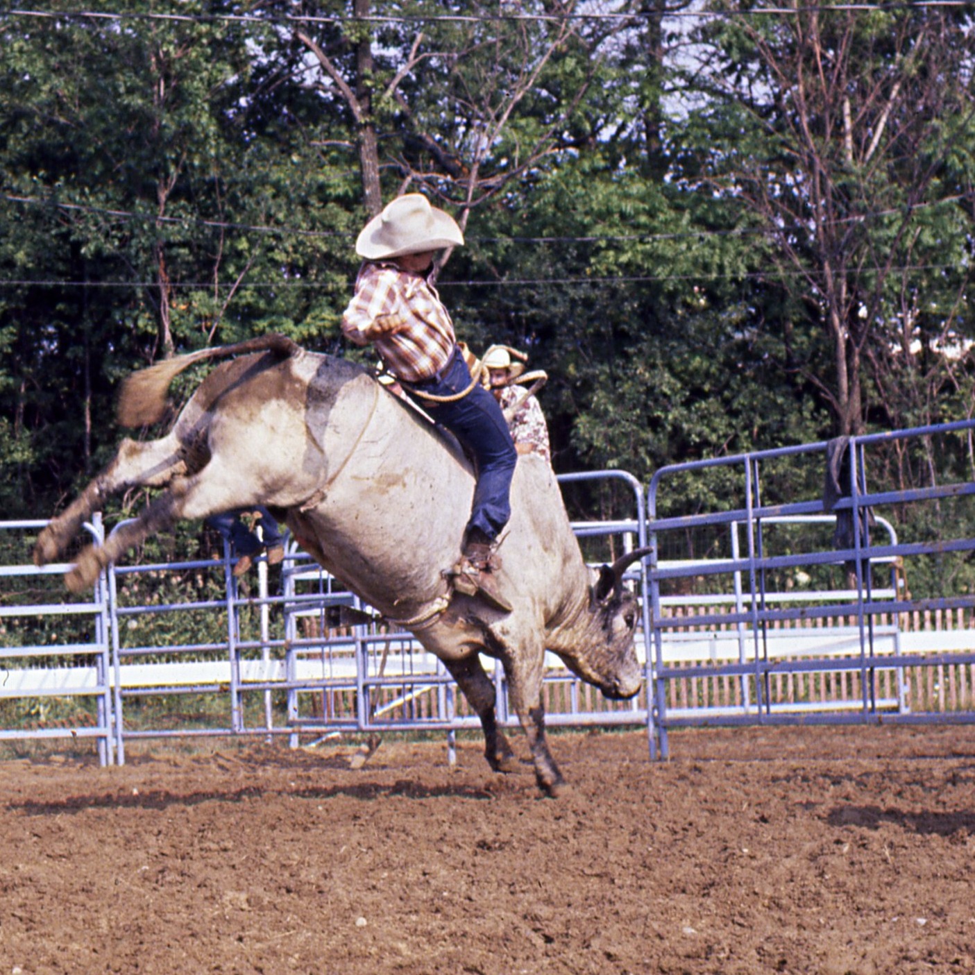 Beyond the Chutes