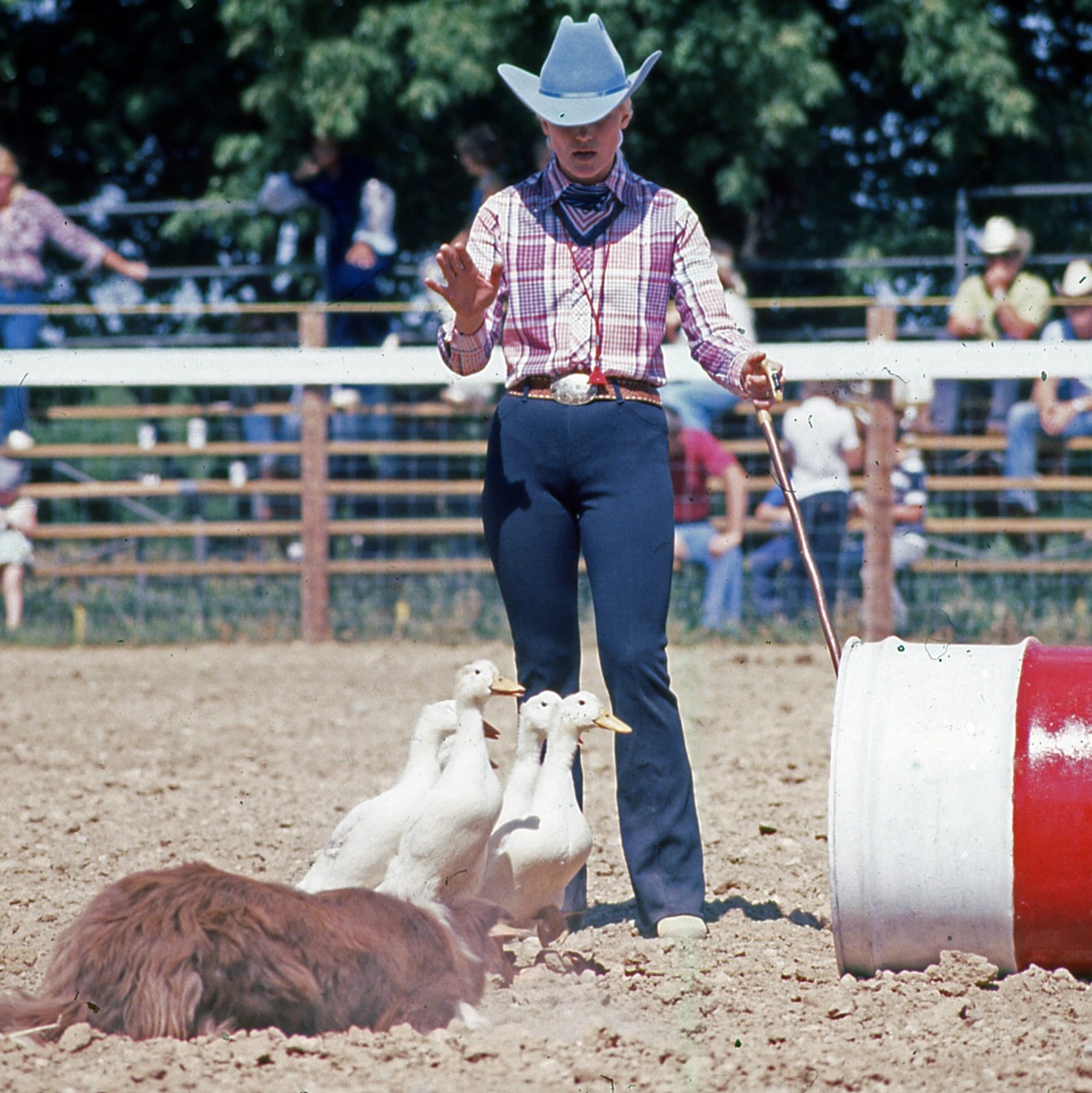 Beyond the Chutes