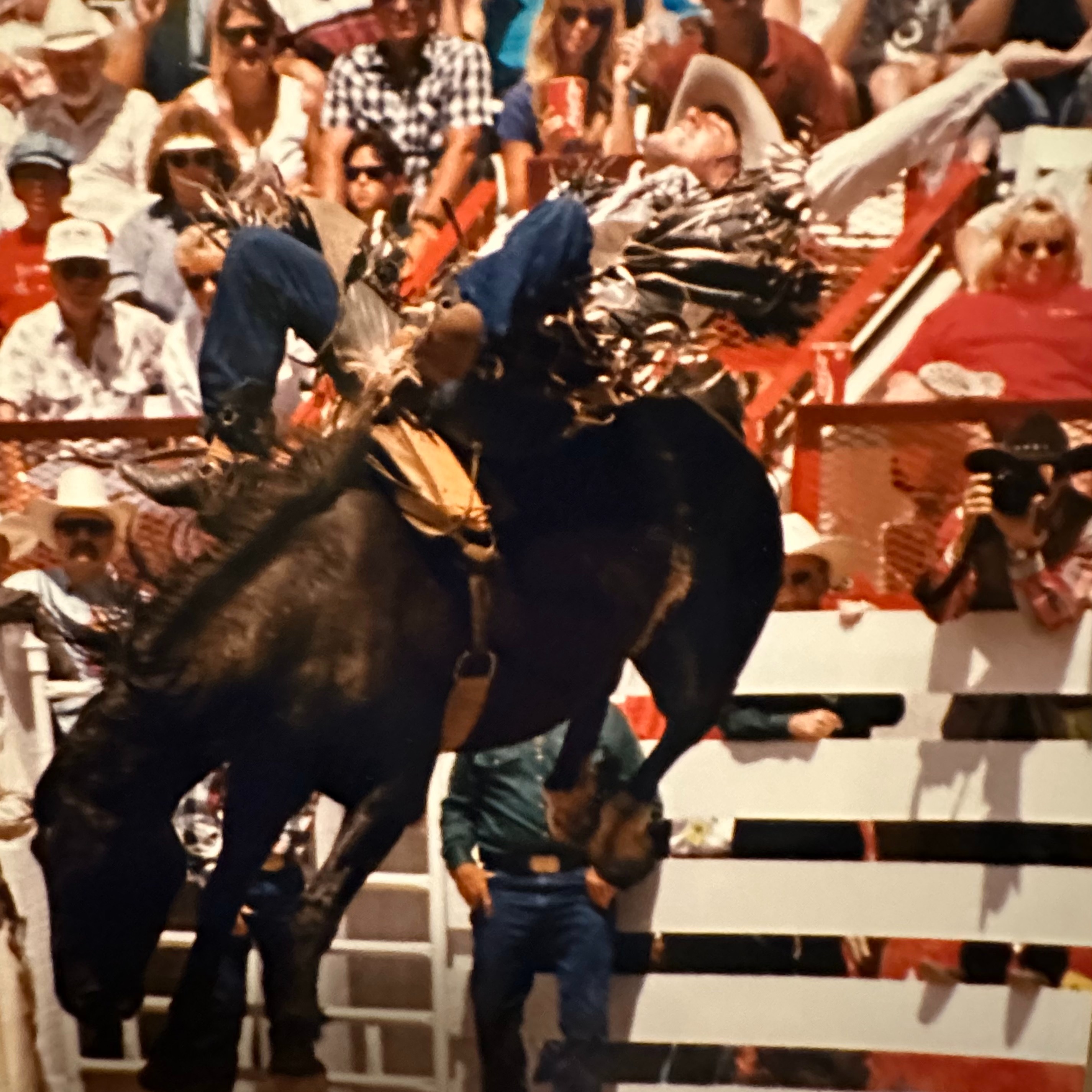 Beyond the Chutes