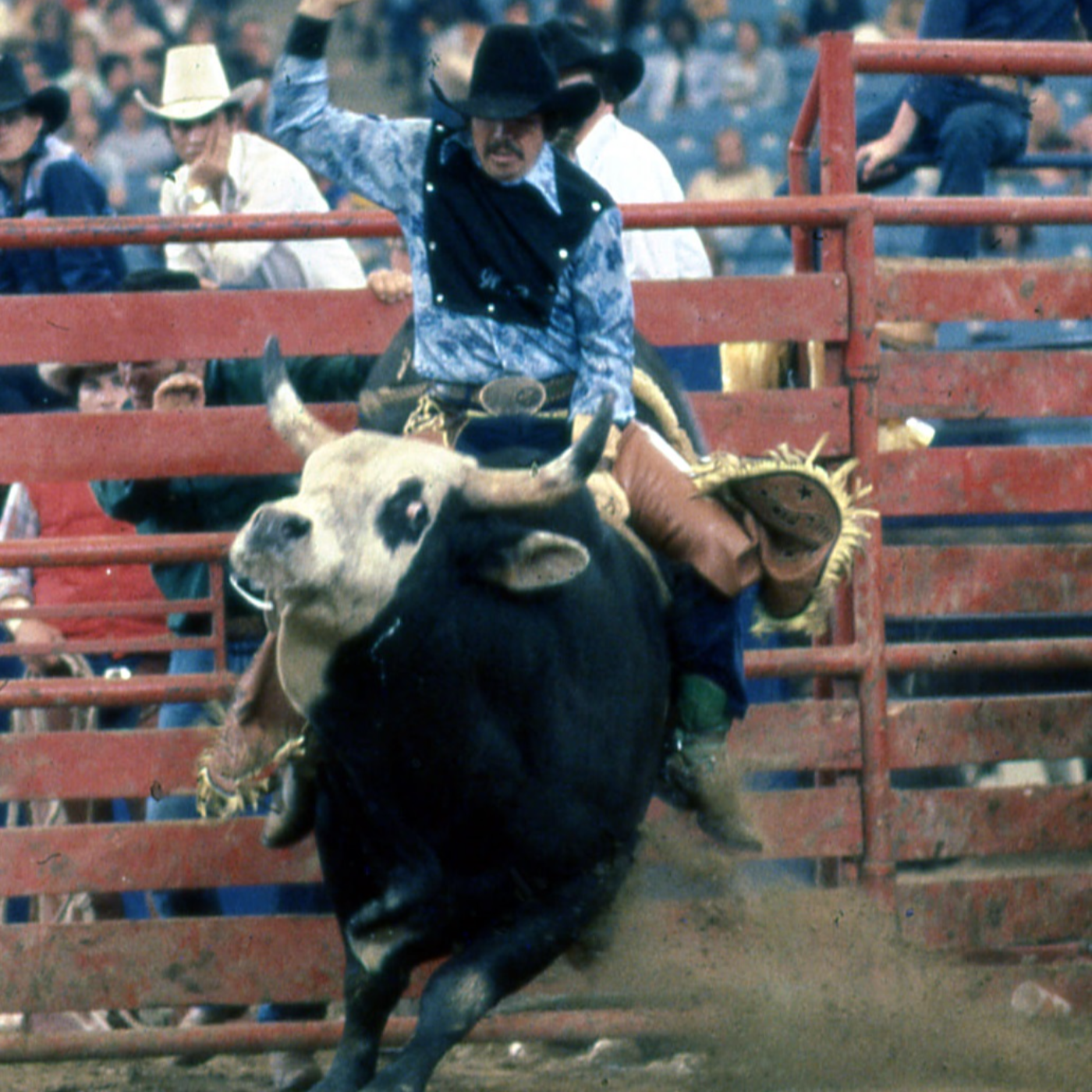Beyond the Chutes