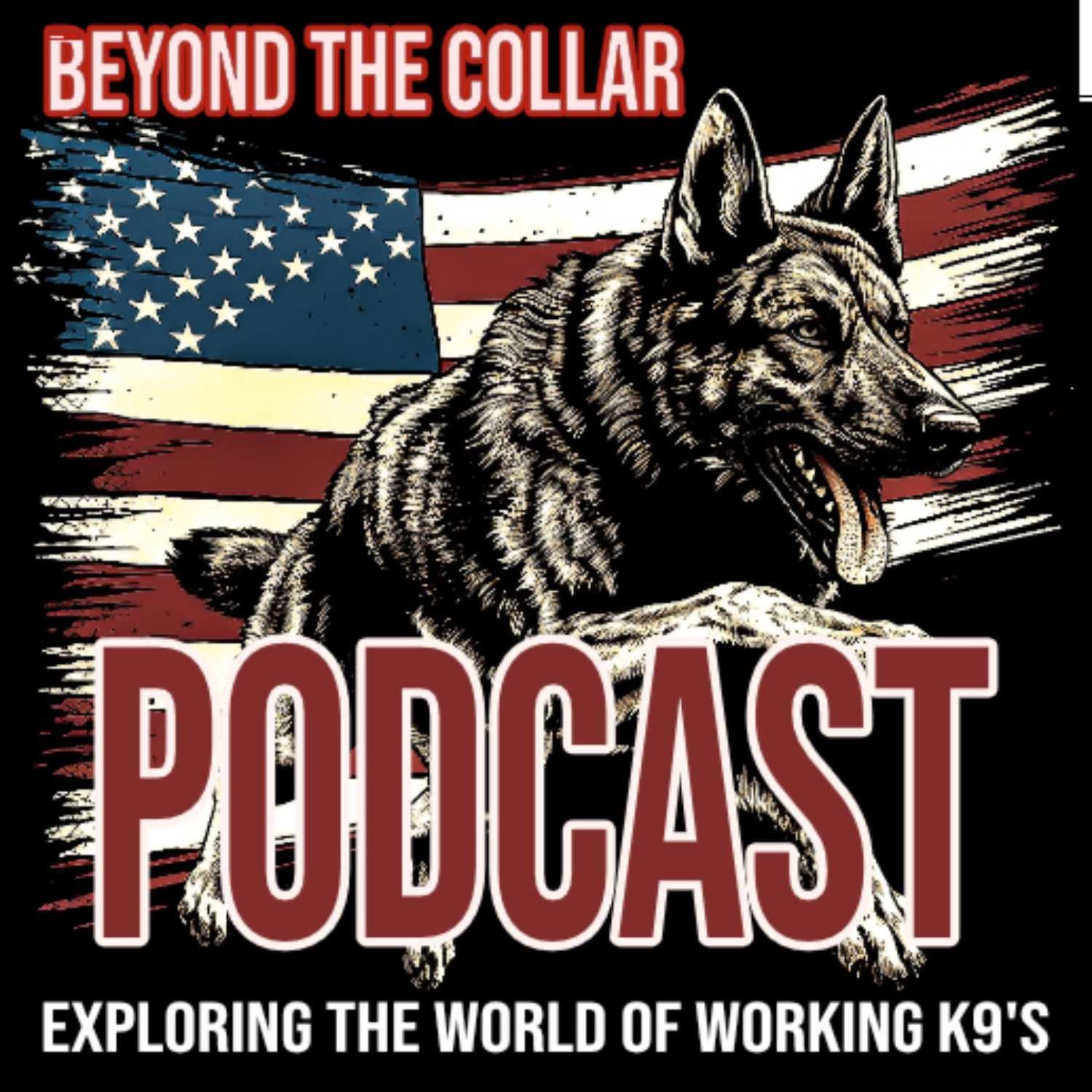 Beyond The Collar; Exploring The World Of Working K9's