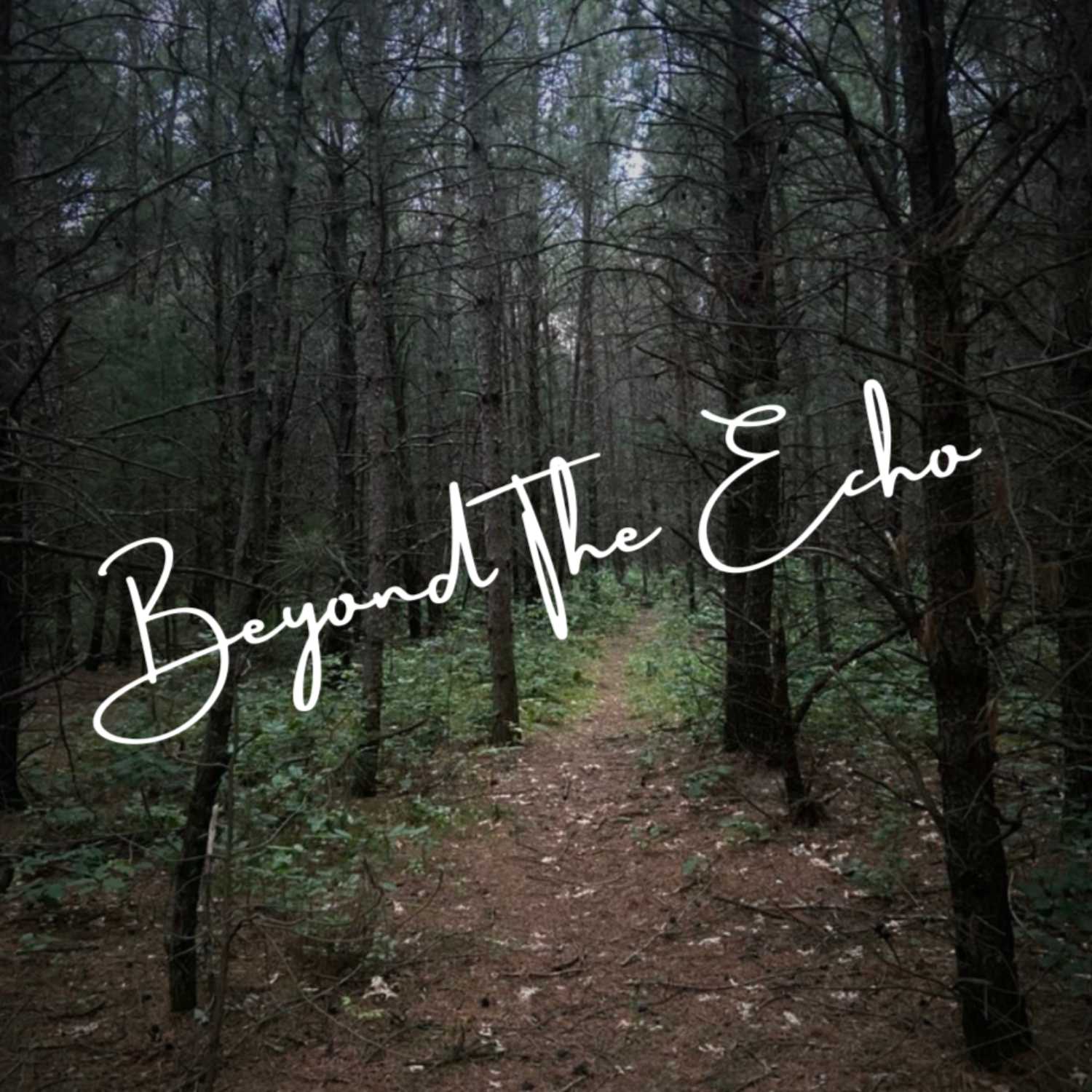 Beyond The Echo
