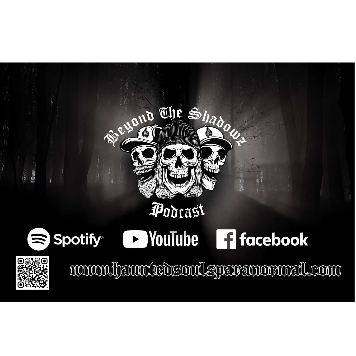 Beyond The Shadowz Episode 15 - Rock Island YMCA With Special Guests episode artwork