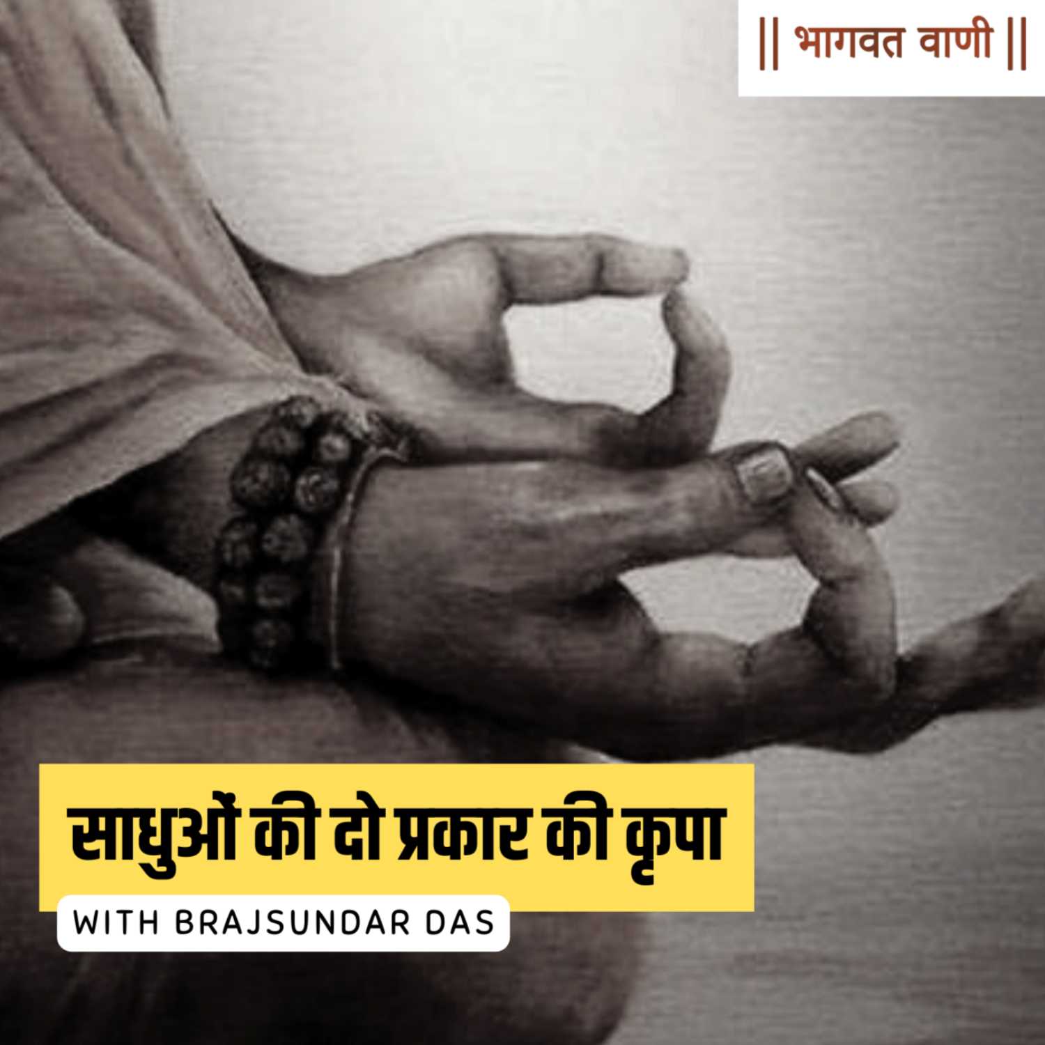साधुओं से कौन-सी दो प्रकार की कृपा प्राप्त होती है?  episode artwork