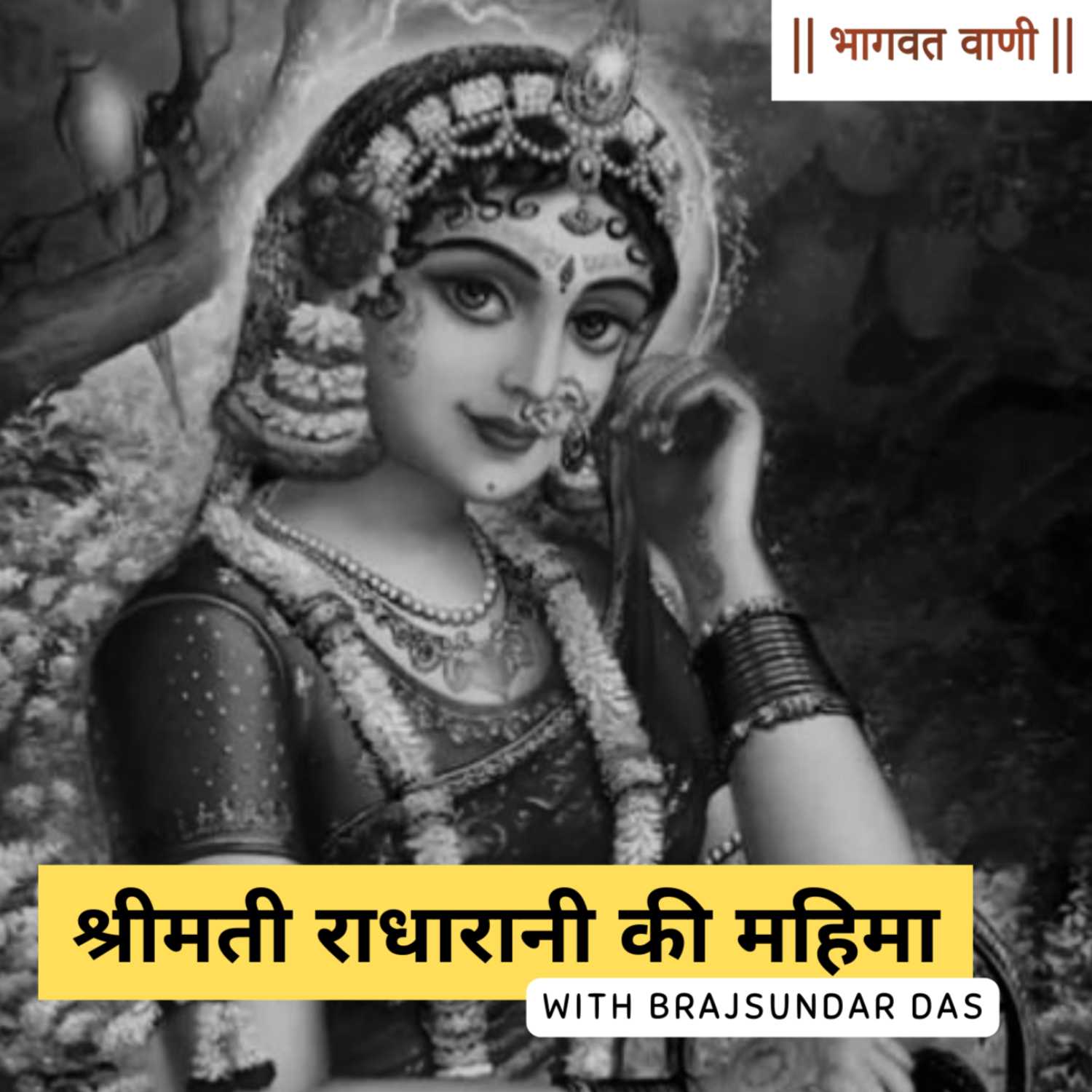 श्रीमती राधारानी की महिमा | श्रीमद्भागवतम् | ब्रजसुंदर दास