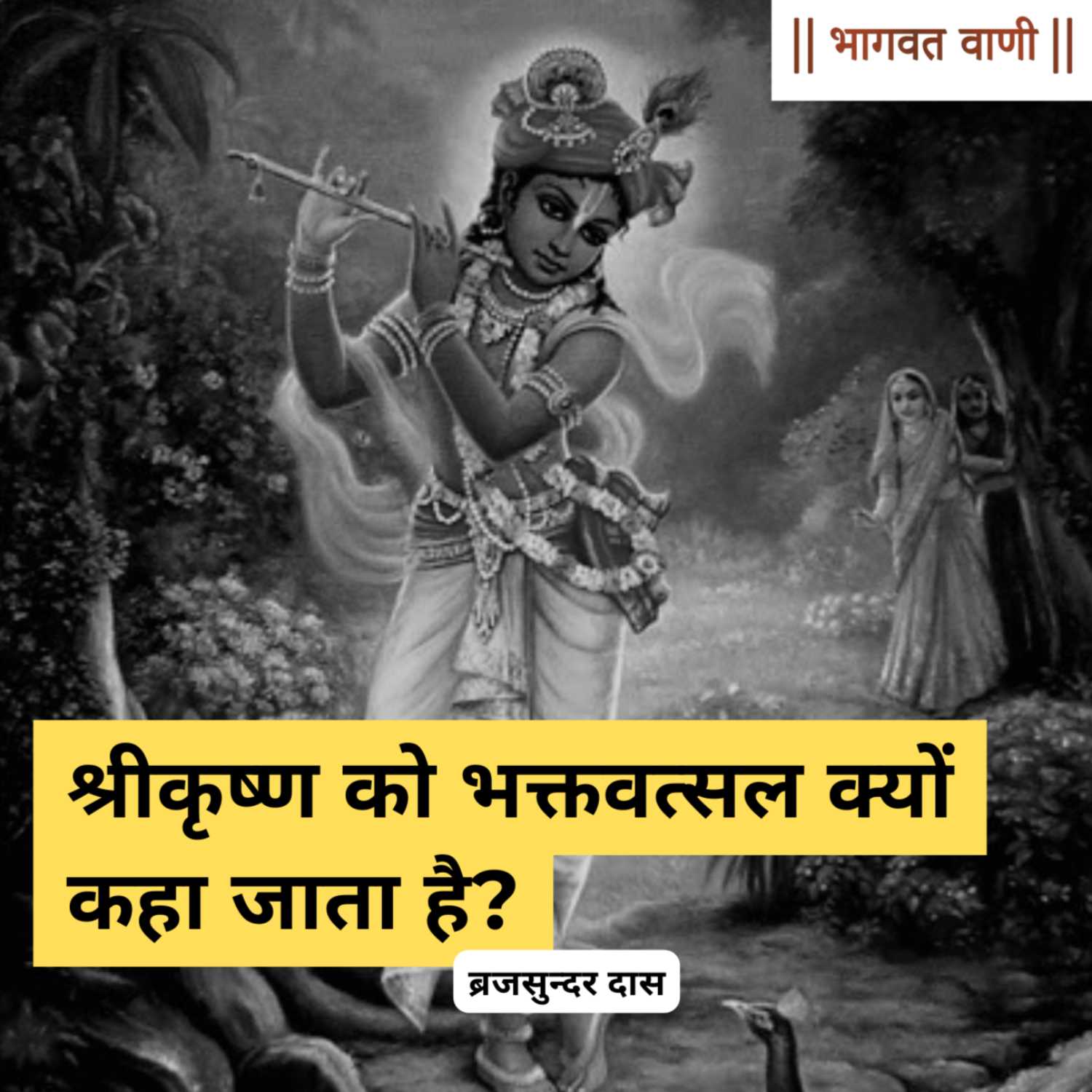 श्रीकृष्ण को भक्तवत्सल क्यों कहा जाता है? | ब्रजसुंदर दास episode artwork