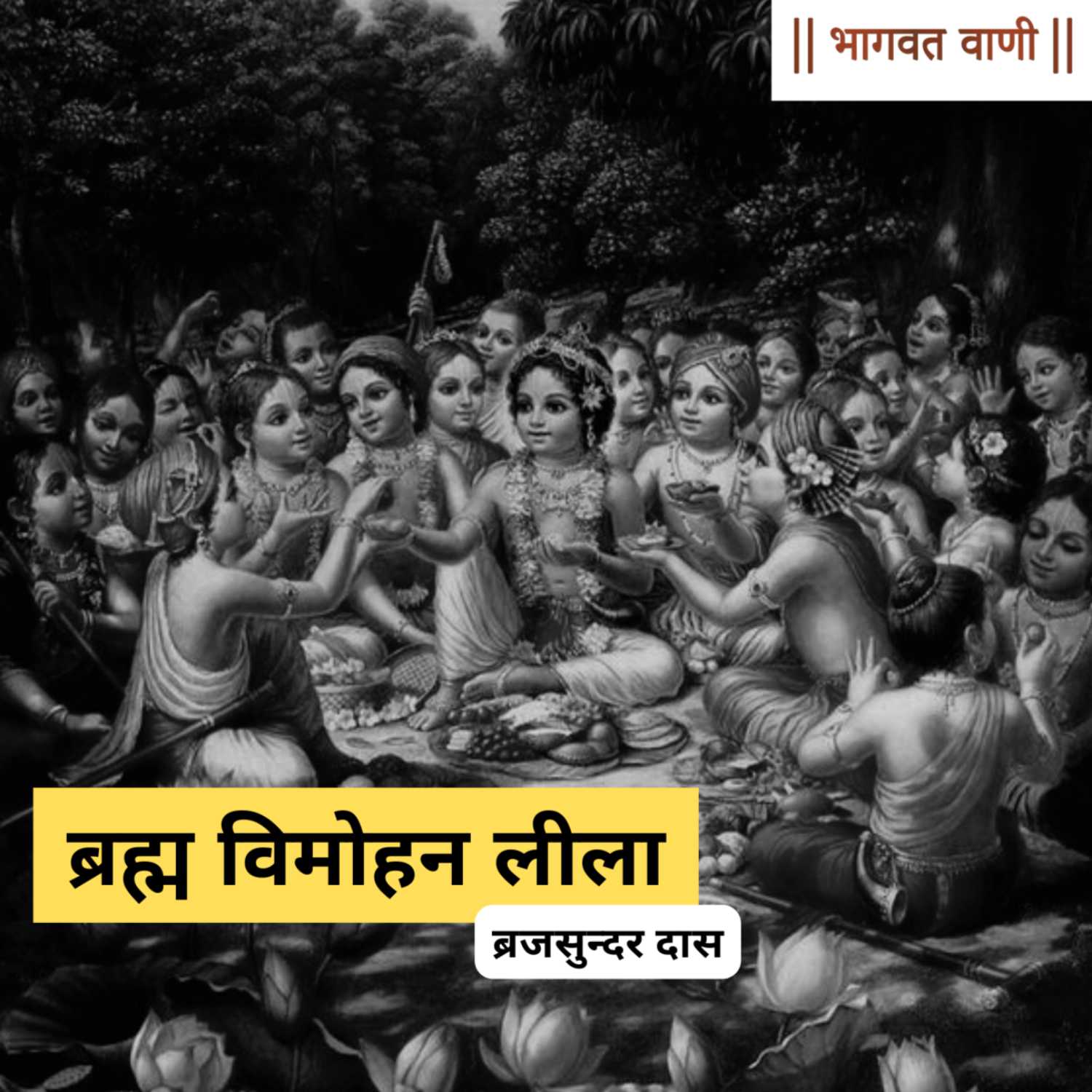 ब्रह्म विमोहन लीला | ब्रजसुंदर दास episode artwork