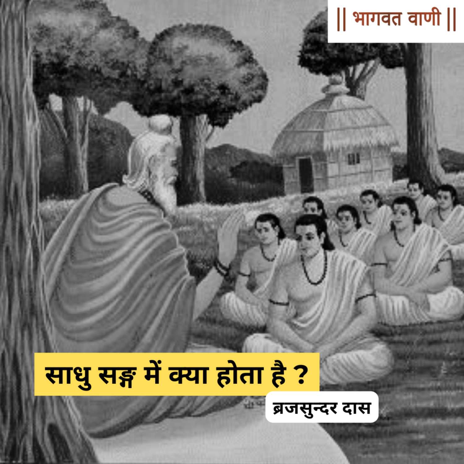 साधु सङ्ग में क्या होता है ? | ब्रजसुंदर दास episode artwork