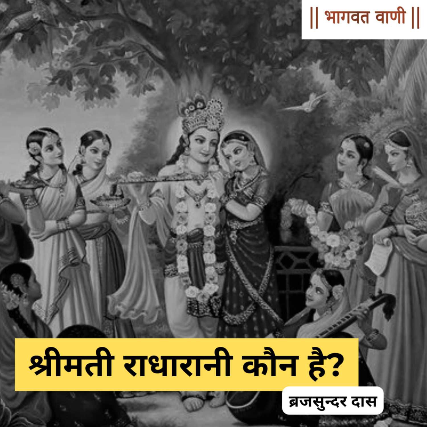 श्रीमती राधारानी कौन है? | ब्रजसुंदर दास episode artwork