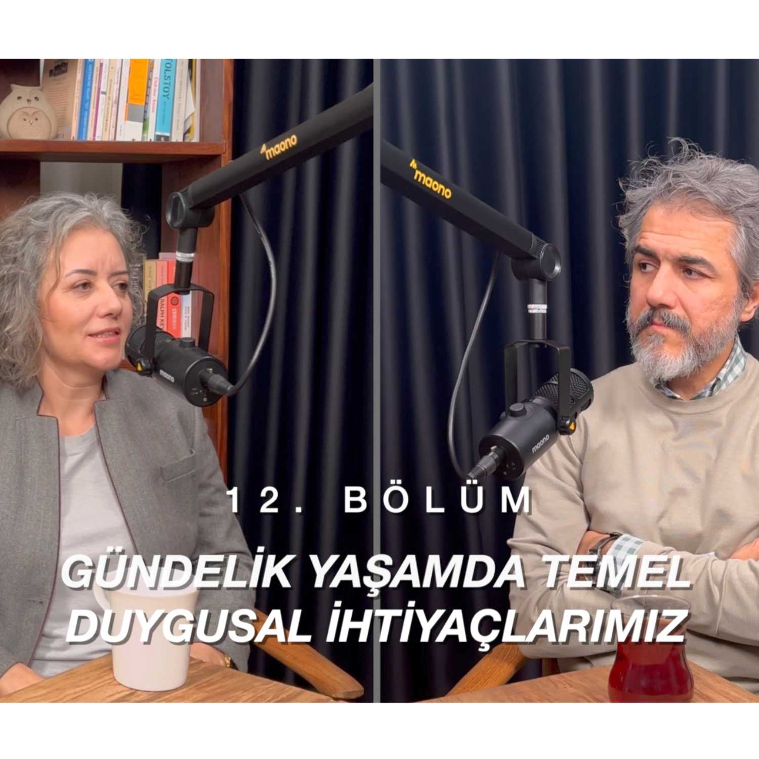 Podcast cover