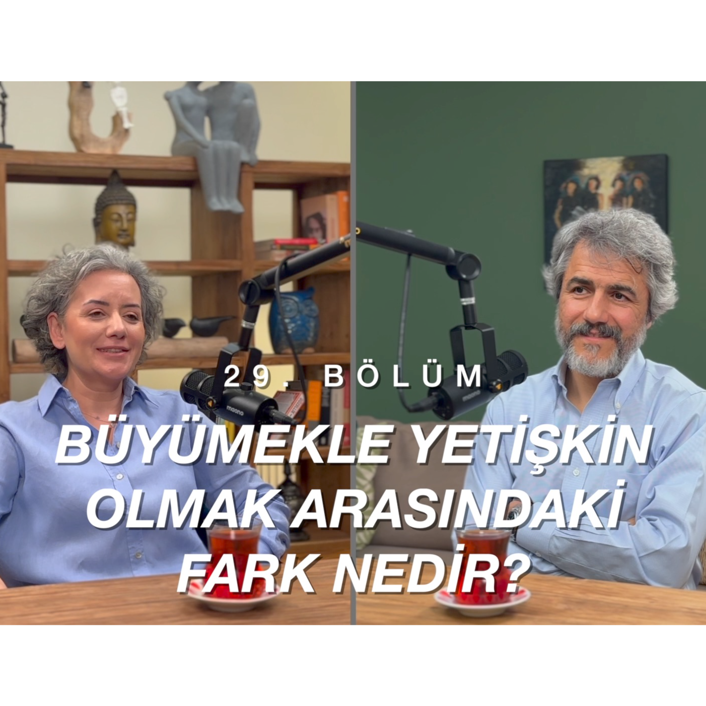 Podcast cover