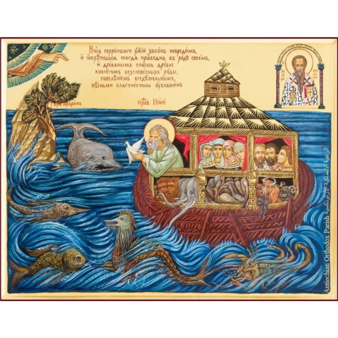 Bible in a Year with Fr Paul