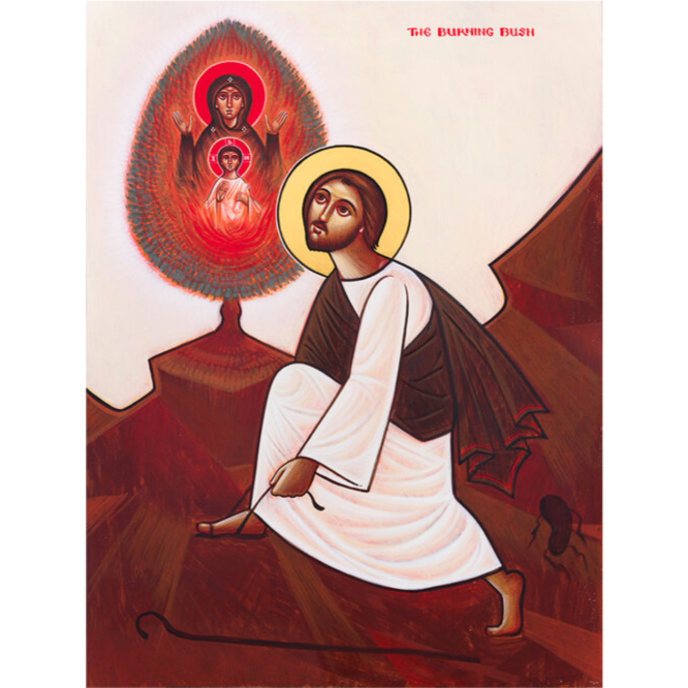 Bible in a Year with Fr Paul
