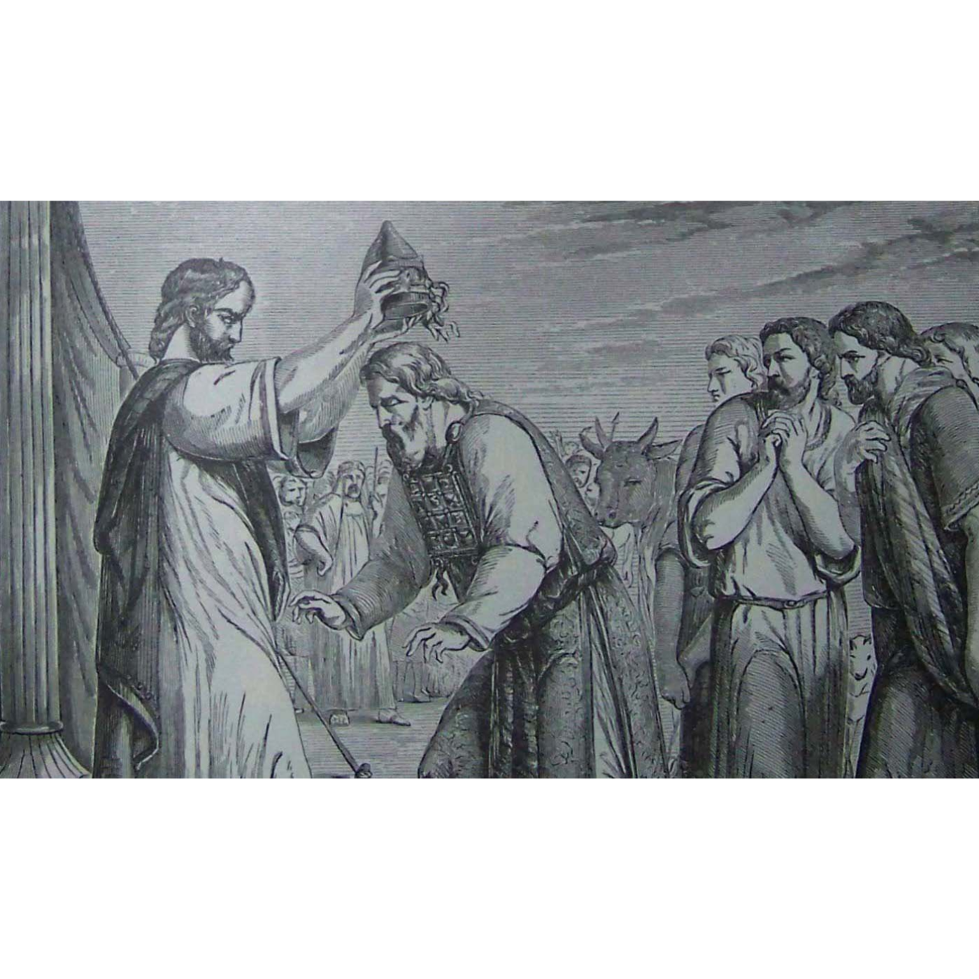Bible in a Year with Fr Paul