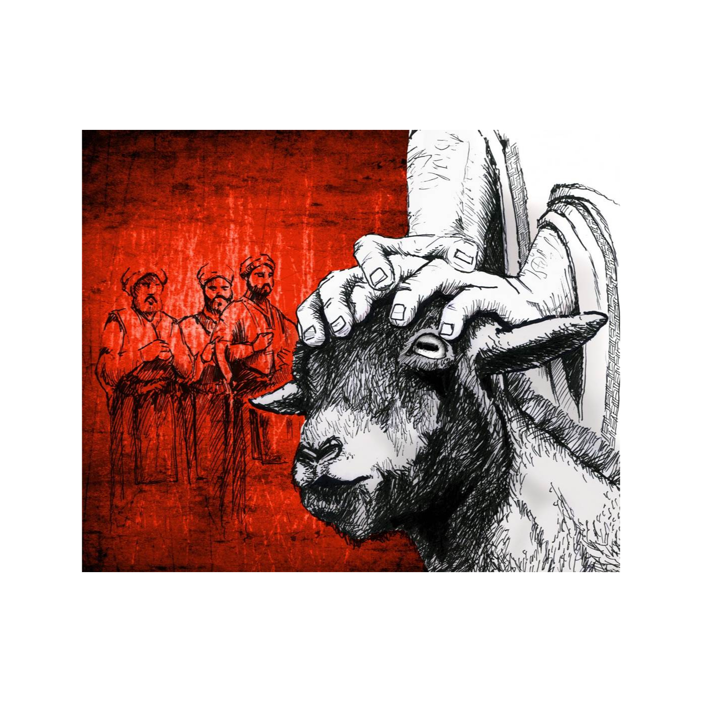 Bible in a Year with Fr Paul