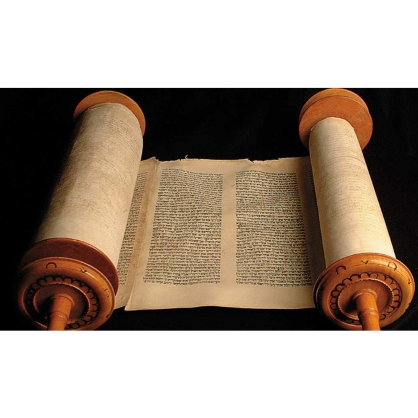 Bible in a Year with Fr Paul