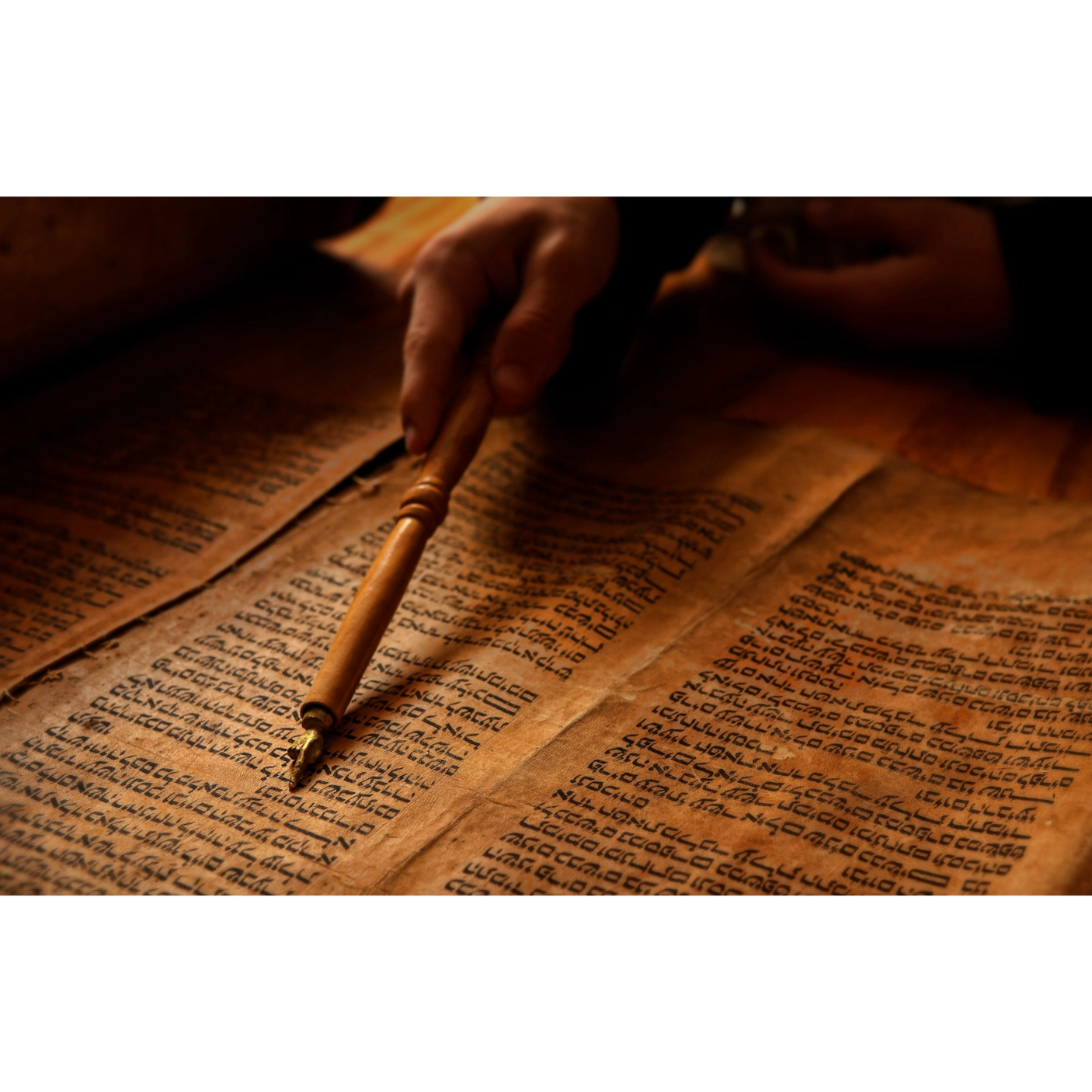 Bible in a Year with Fr Paul