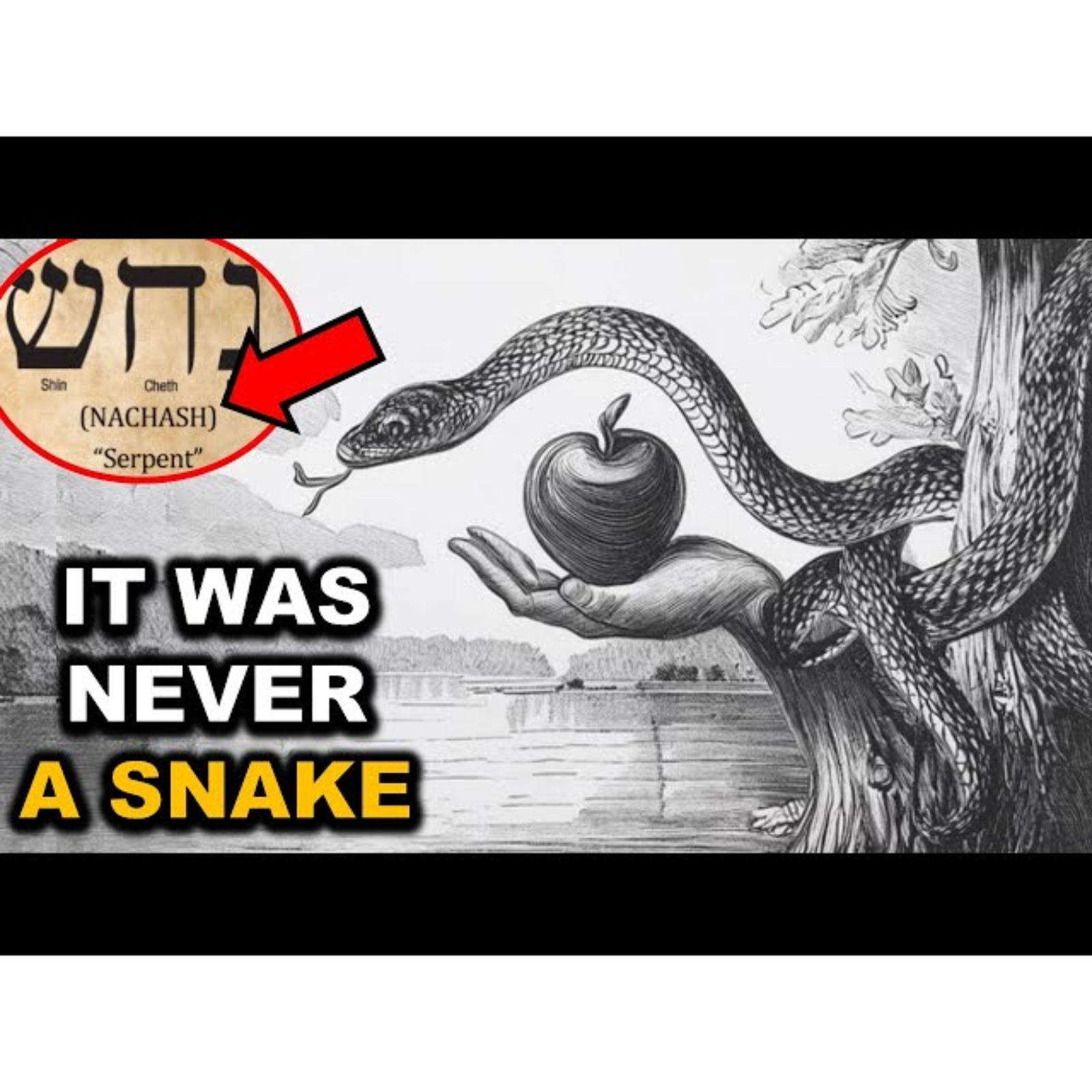 The SERPENT Of Genesis Was NOT A SERPENT_ Hebrew Text Reveals It episode artwork