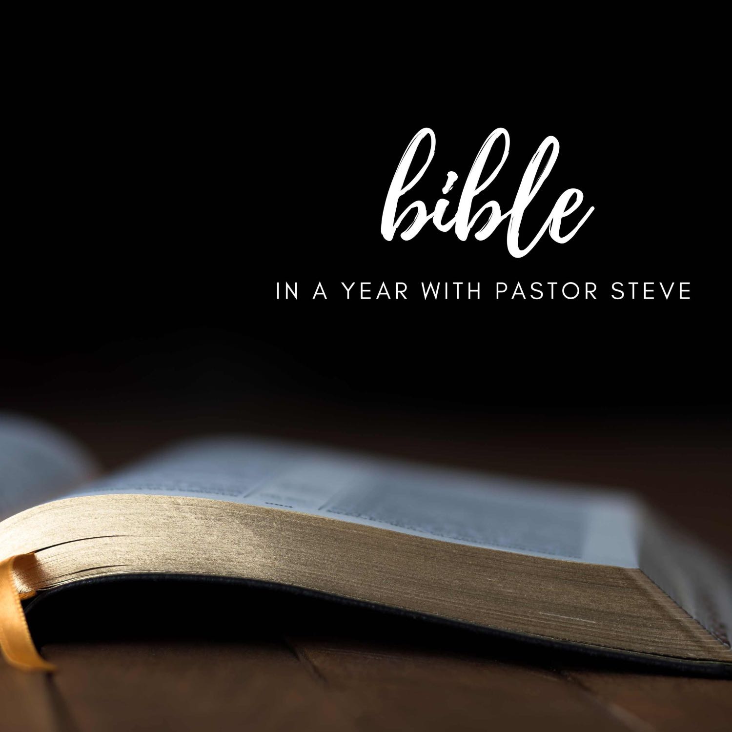 Bible in a Year with Pastor Steve