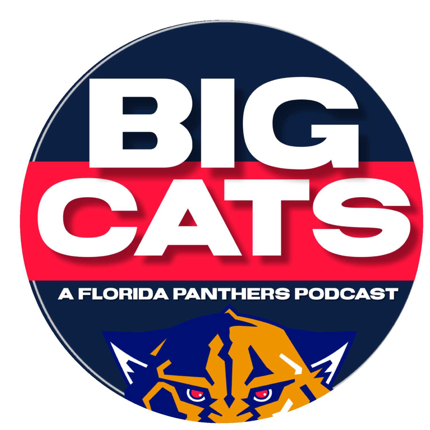Big Cats: A Florida Panthers Podcast