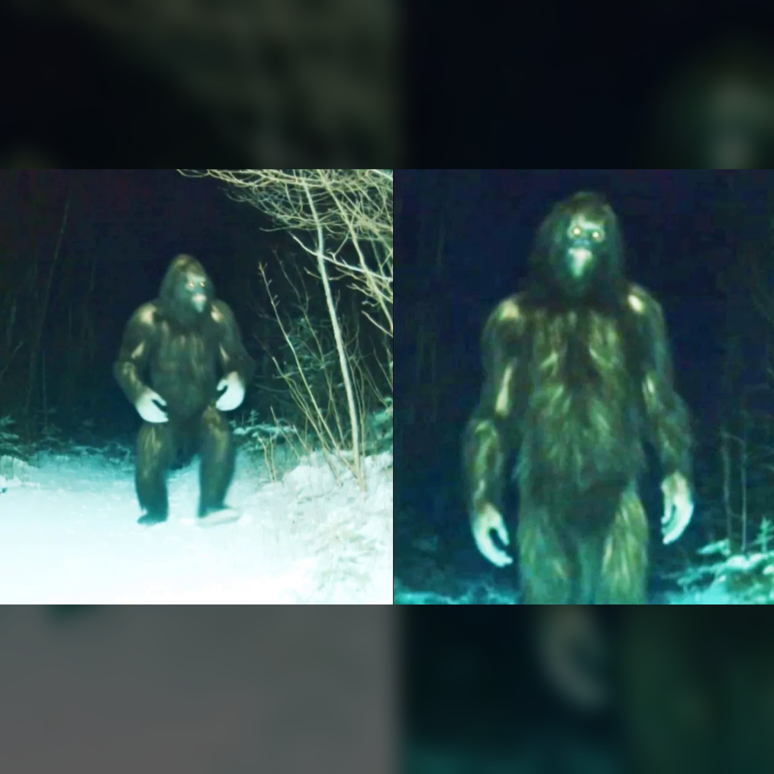 🦶 Shocking Bigfoot Truth from an Alaska Trail Cam episode artwork