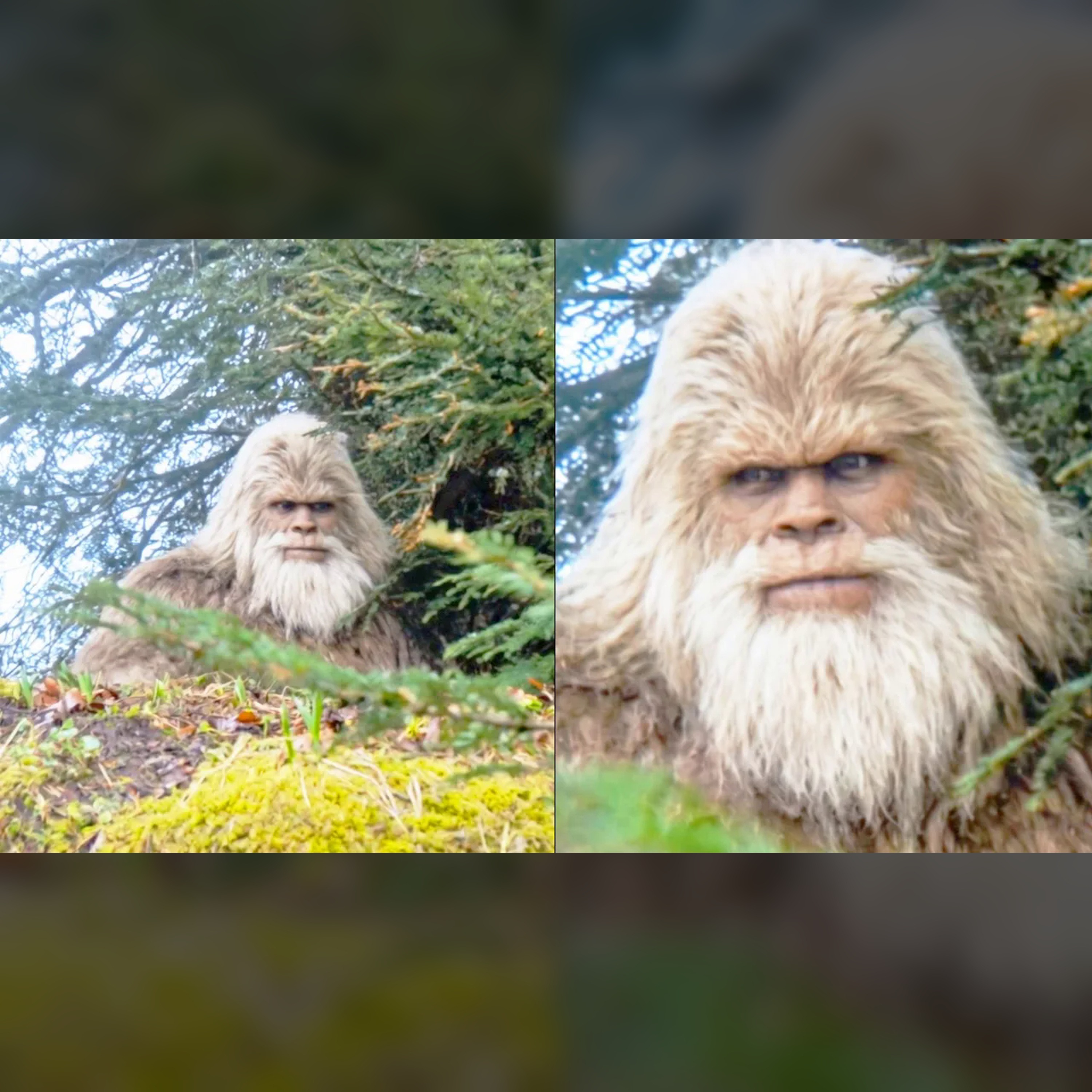 🕵️ Ohio’s 8 Bigfoot Sightings: Shocking Truth Exposed episode artwork
