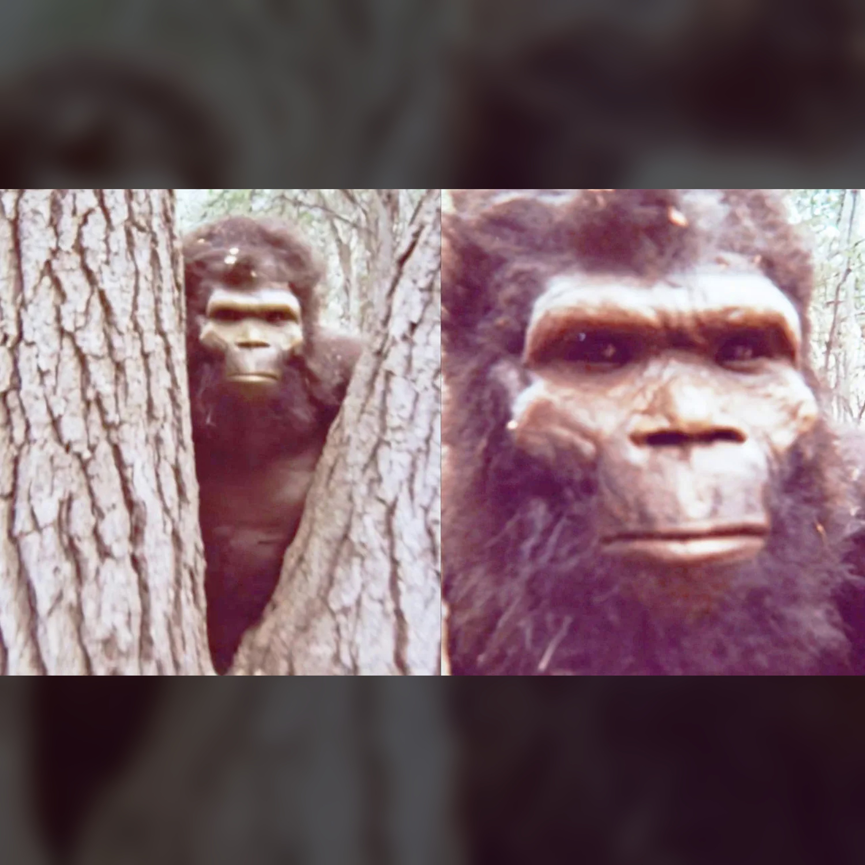 🦶 Bigfoot, Yeti, Yowie: The Shocking Truth Unveiled episode artwork