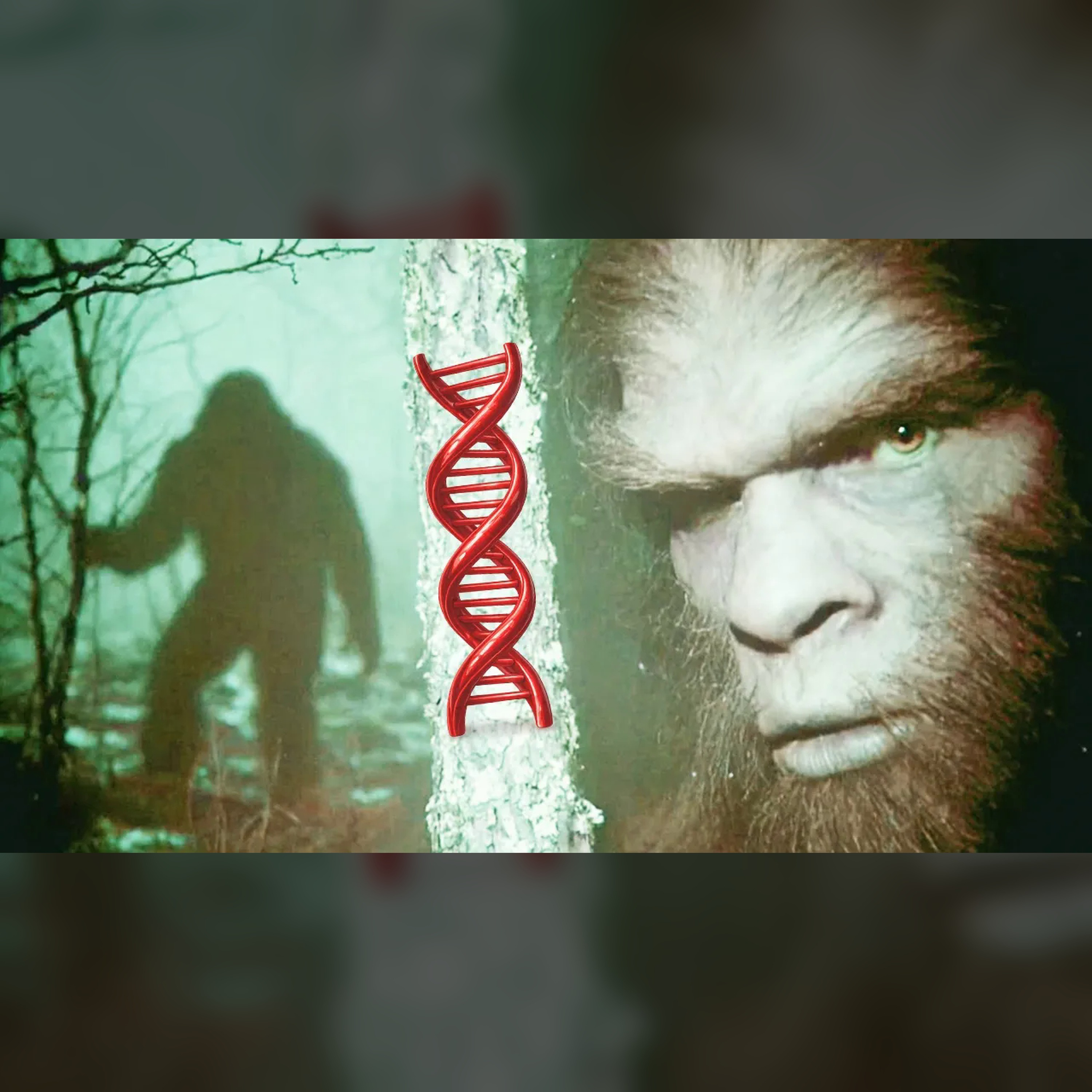 🧬 Bigfoot DNA Secret: 19% Non-Human Genes? Shocking Truth episode artwork