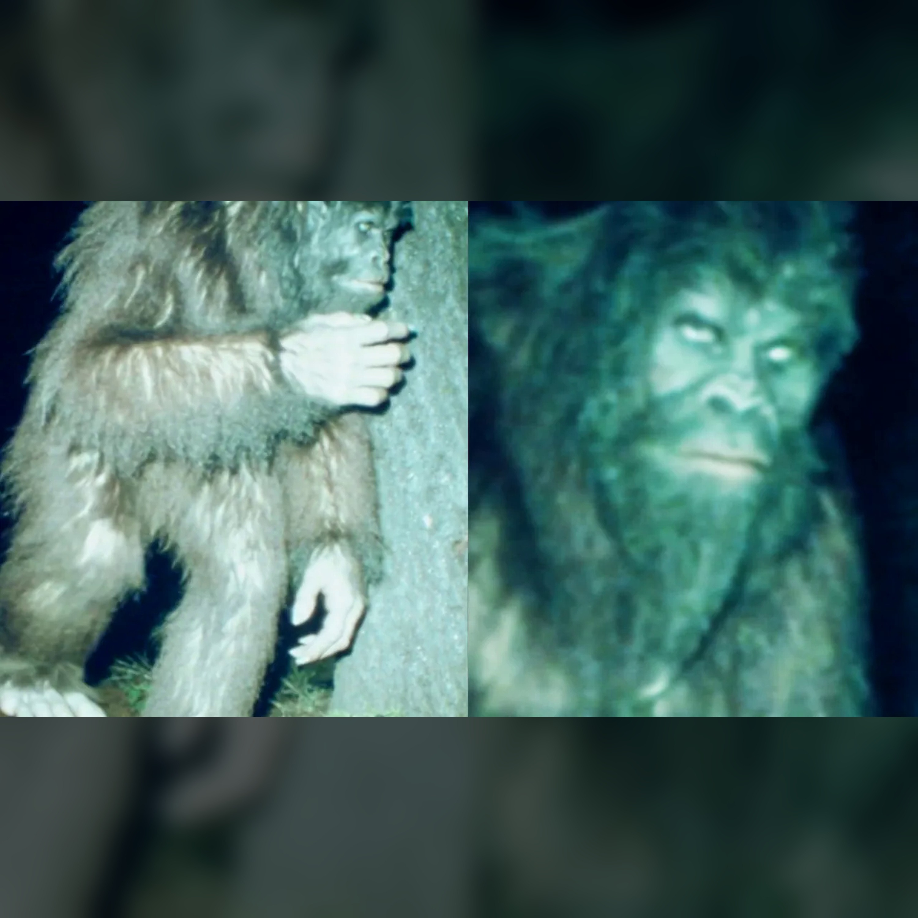 😱 Shocking Bigfoot Trail Cam Reveal: The Truth Unfolds episode artwork