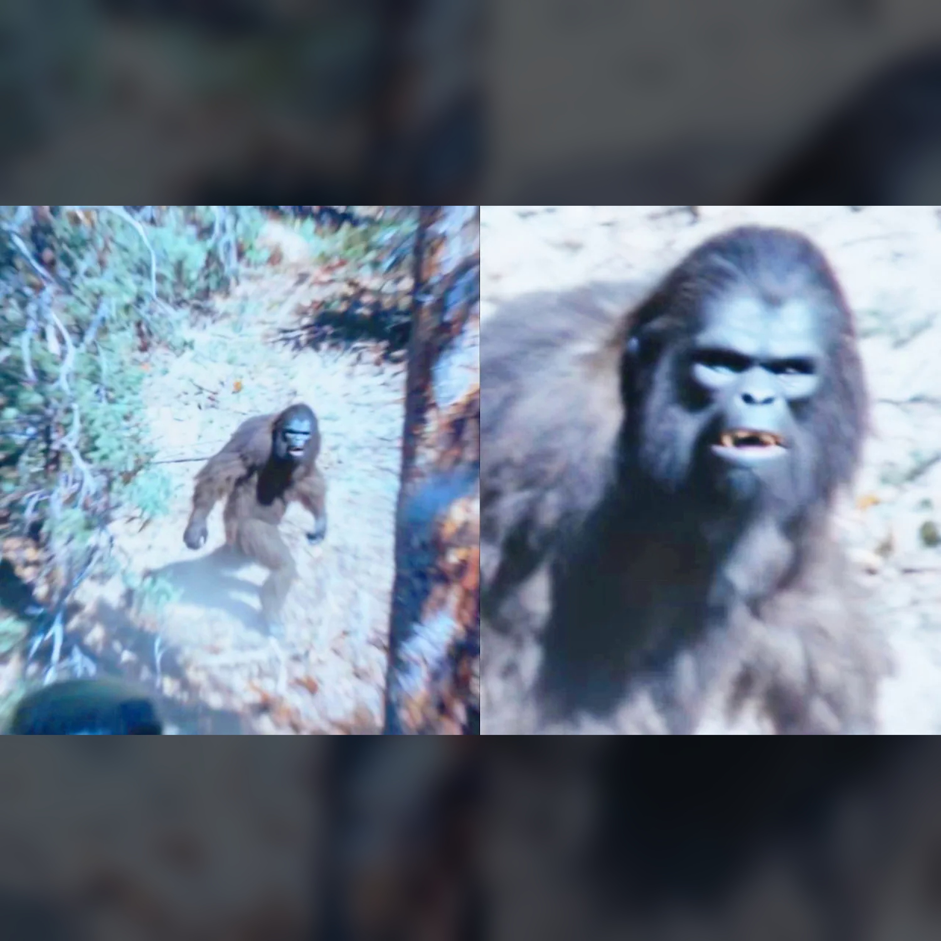 🛸 Shocking Yowie Helicopter Footage: Sasquatch Truth Revealed episode artwork
