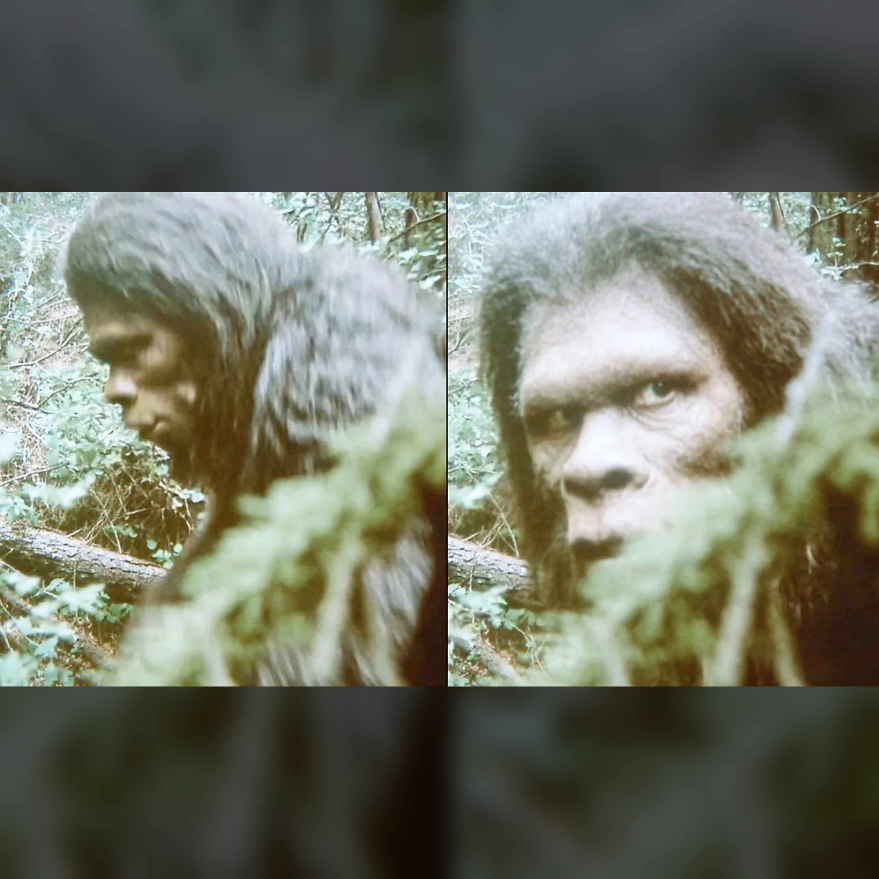 🕵️ Bigfoot Truth Revealed: David Paulides’ Shocking Evidence episode artwork