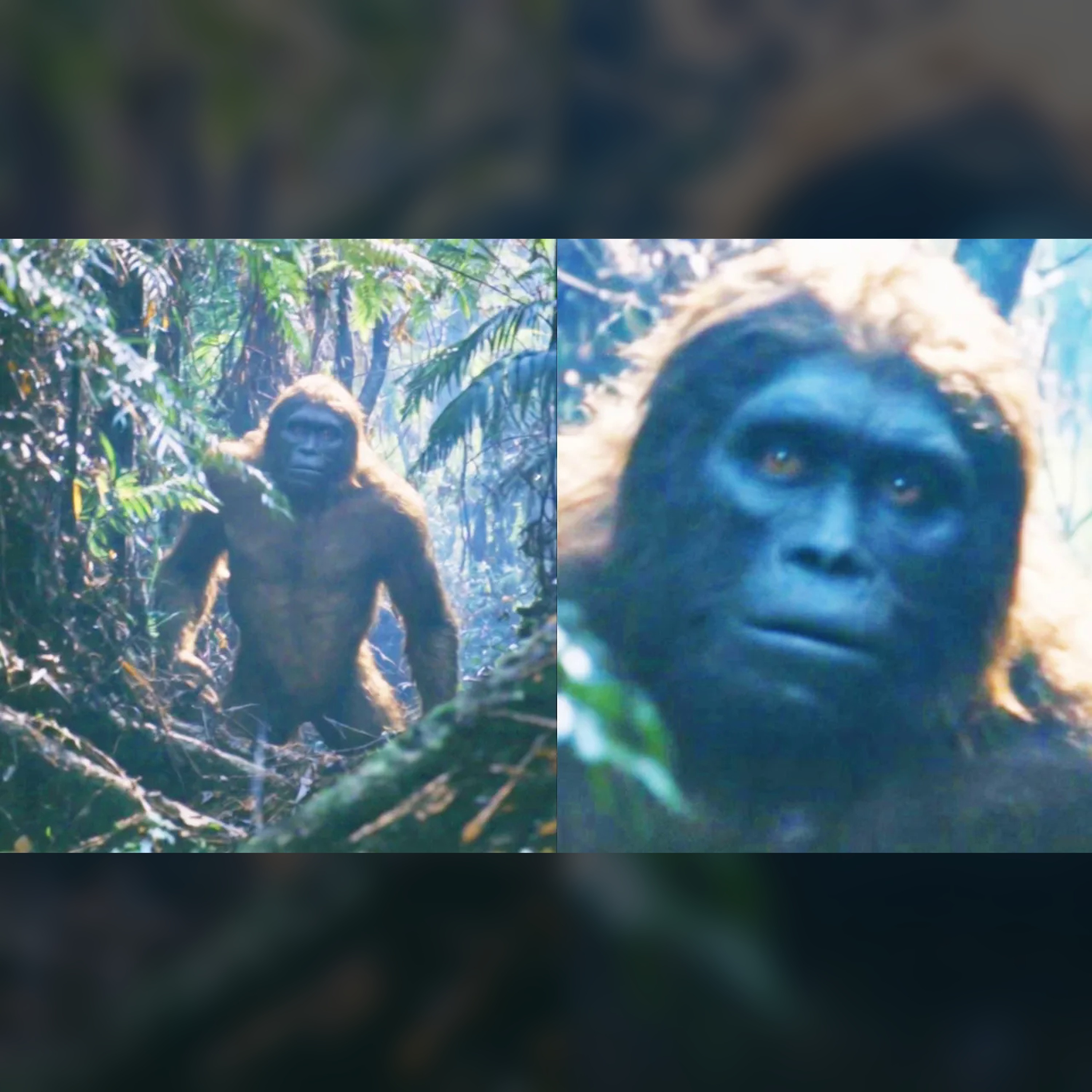 🧩 The Shocking Truth About Sumatra's Bigfoot Mystery episode artwork
