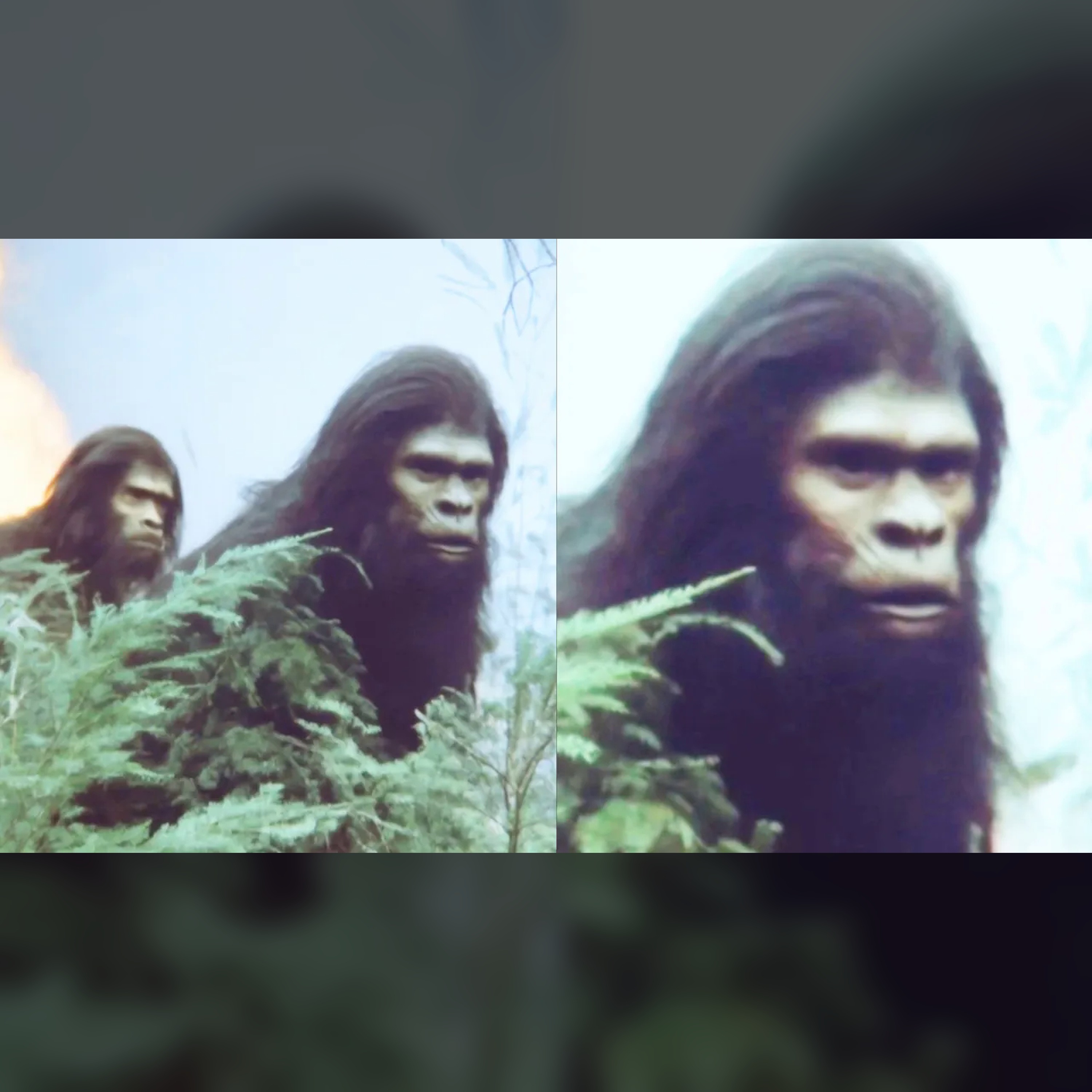 🚨 Shocking Truth: 3 Sasquatch Crossed an Oregon Burn Line episode artwork