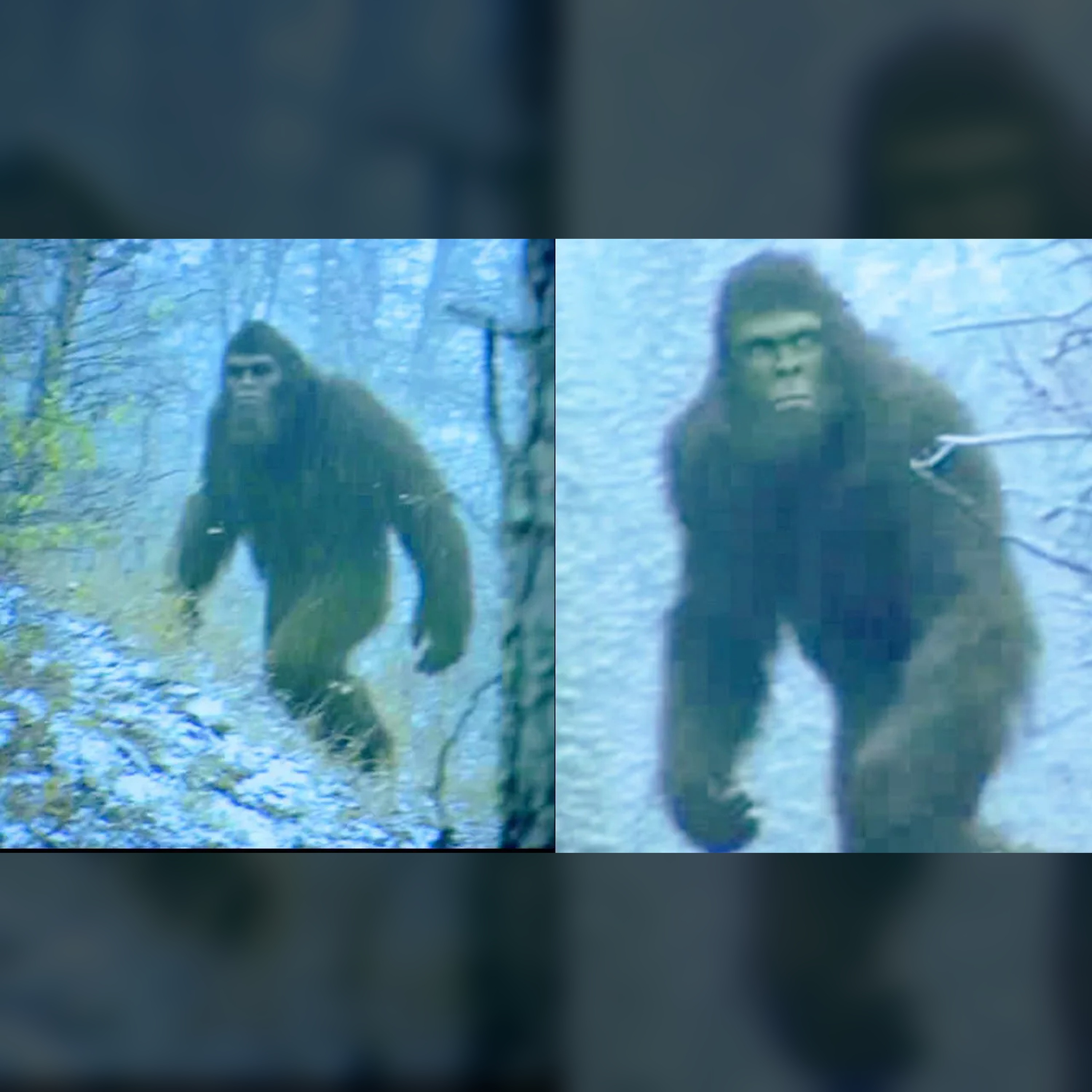 🔍 Bigfoot in Alaska: Shocking Trail Cam Truth Revealed episode artwork