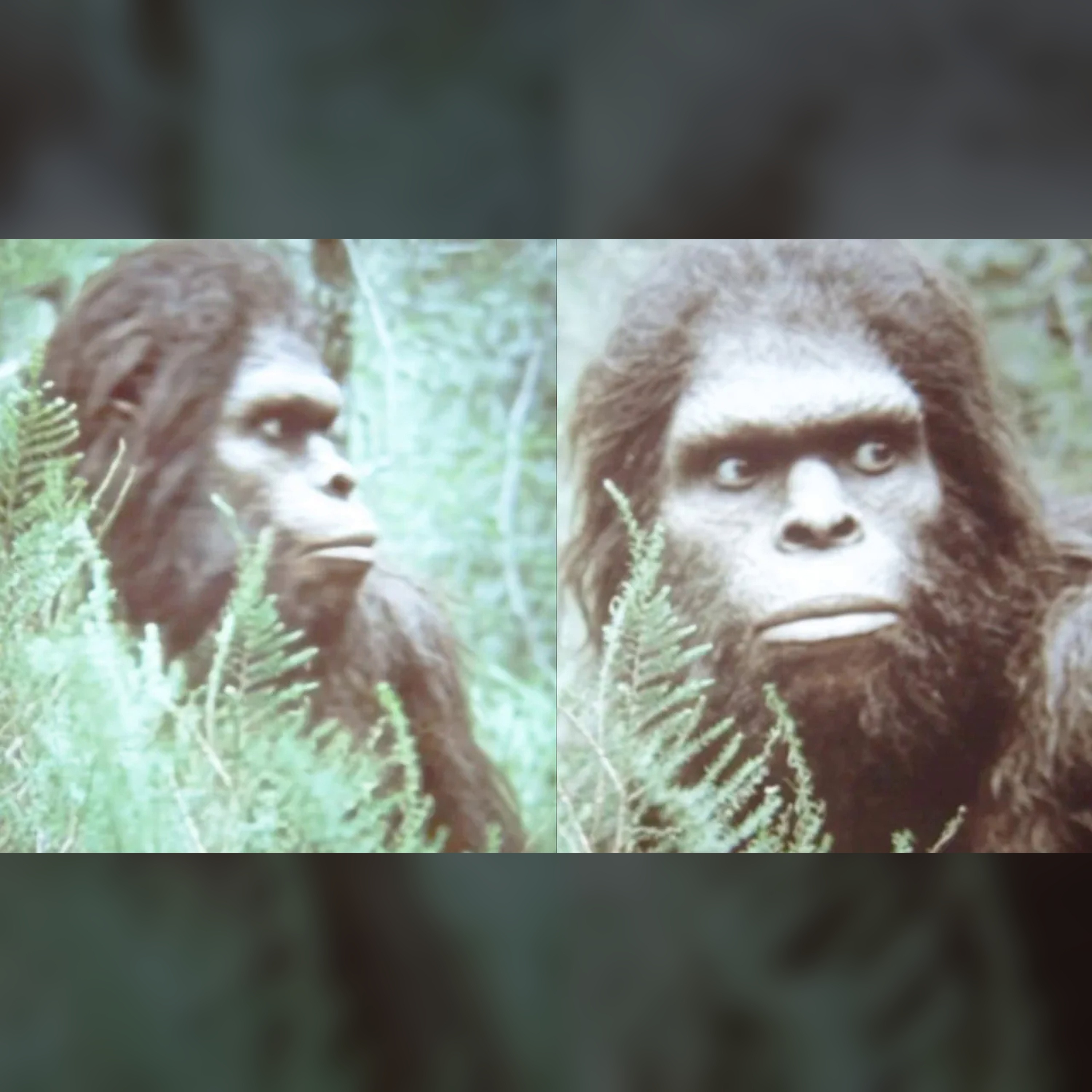 🕵️ Bigfoot Truth Revealed: Jeffrey Meldrum’s Shocking Evidence episode artwork