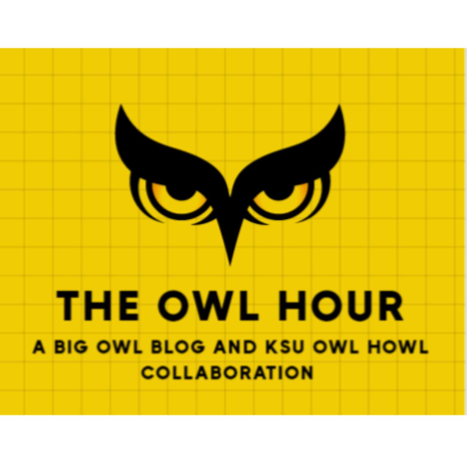 Owl Chat Podcast