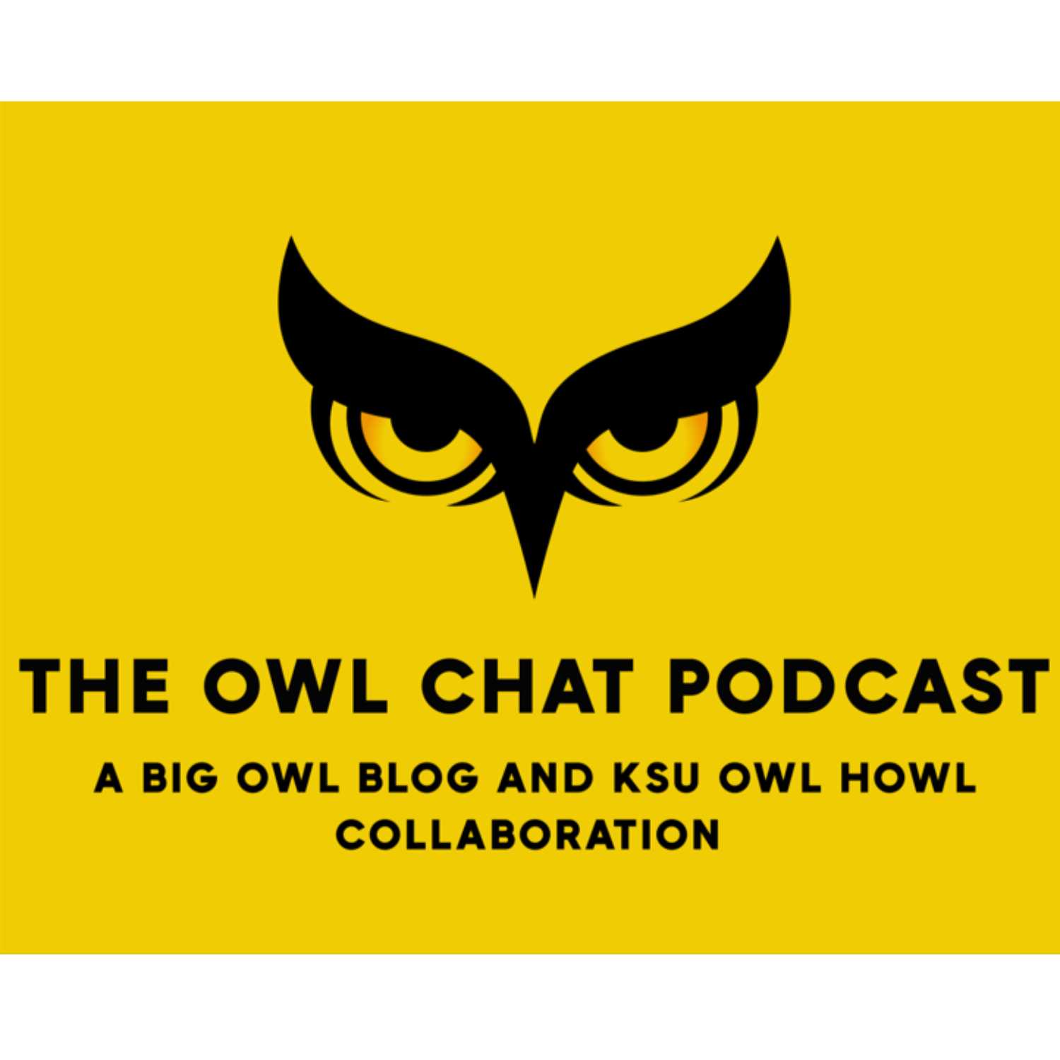 Owl Chat Podcast