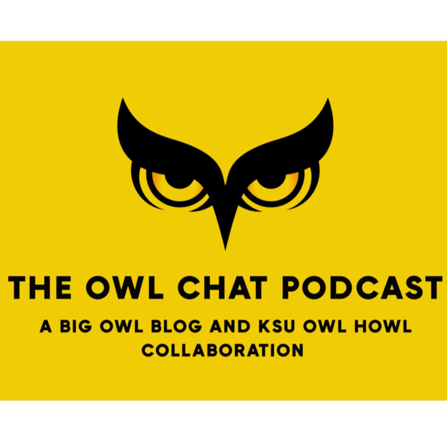 Owl Chat Podcast