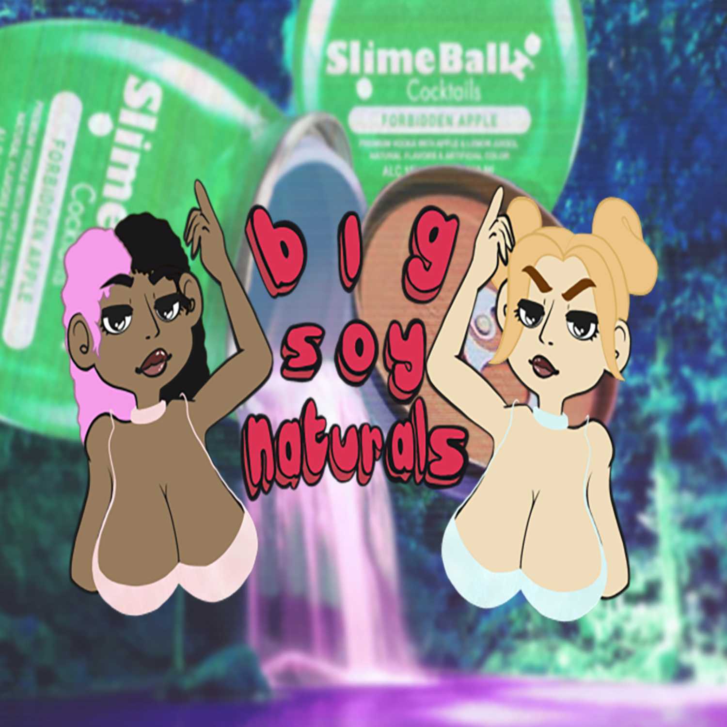 Big Soy Naturals