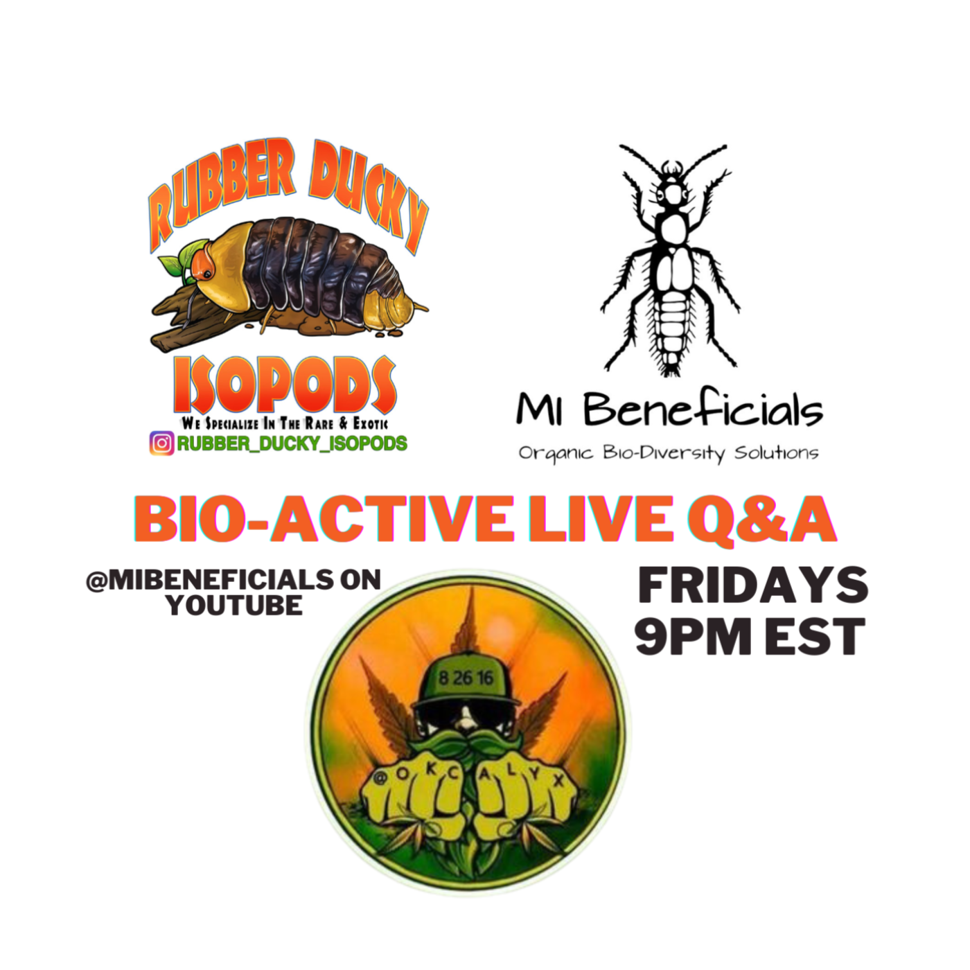 Bioactive Live Q&A