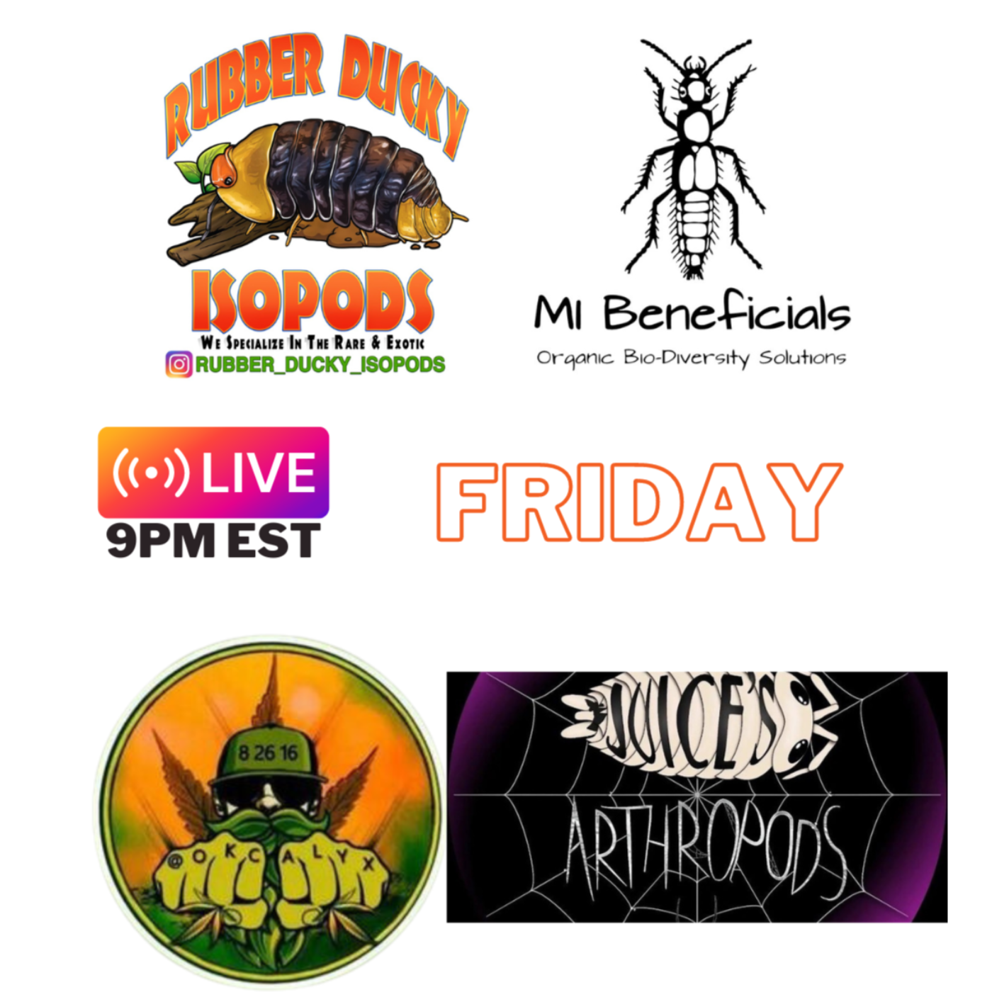 Ep. 28 - Bioactive Live Q&A - Raising Arachnids in a Bioactive Setup with Juice's Arthropods