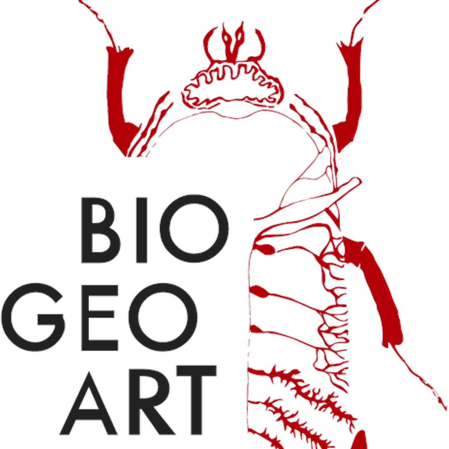 BioGeoArt Inmersion Sonora