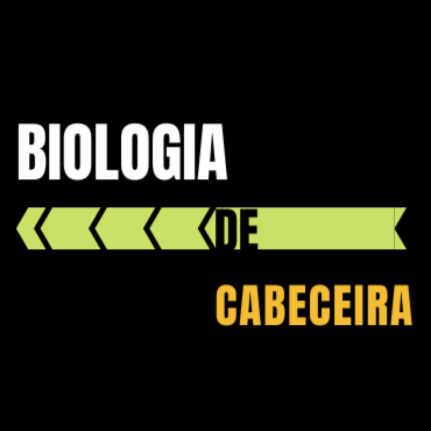 Baleias