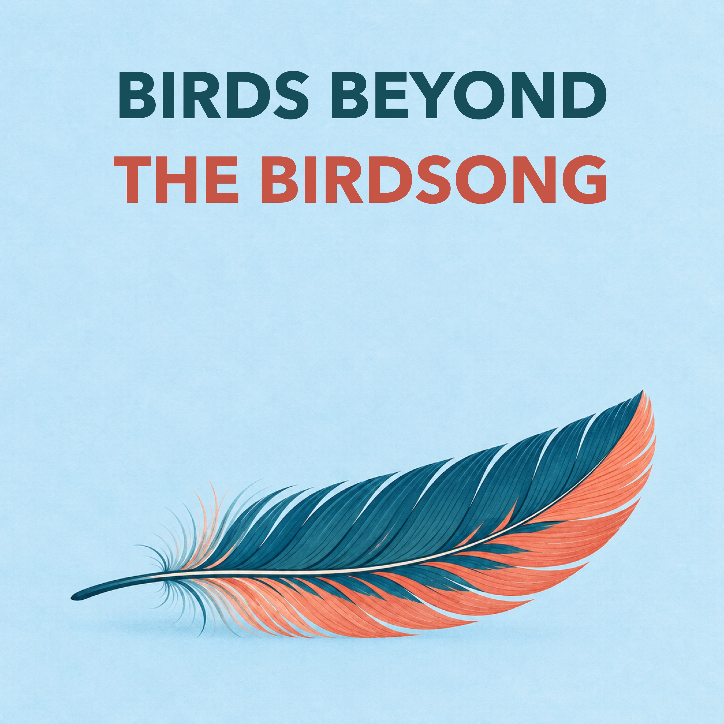 Birds Beyond the Birdsong