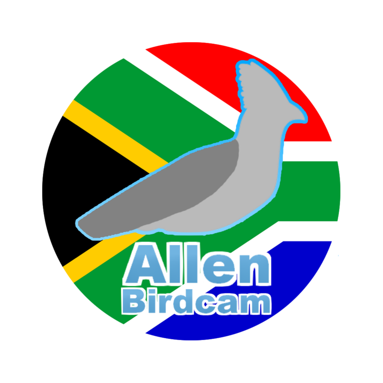 Birdsounds - Allenbirdcam