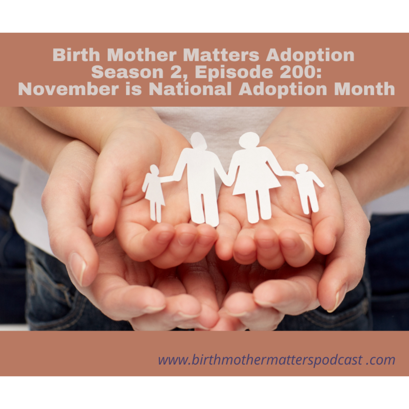 Birth Mother Matters in Adoption